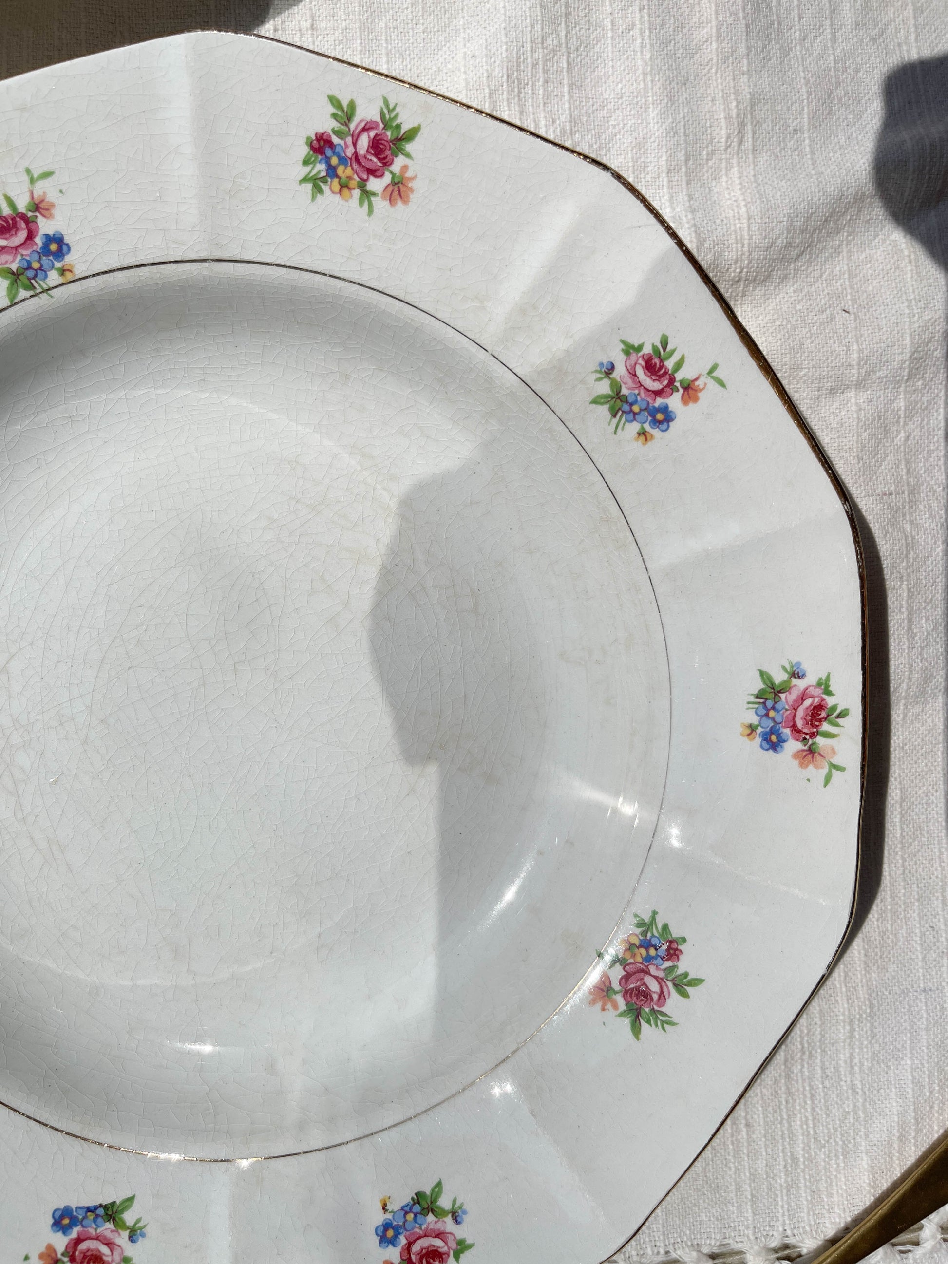 Assiettes creuses vintage en porcelaine opaque SALINS motif fleuri