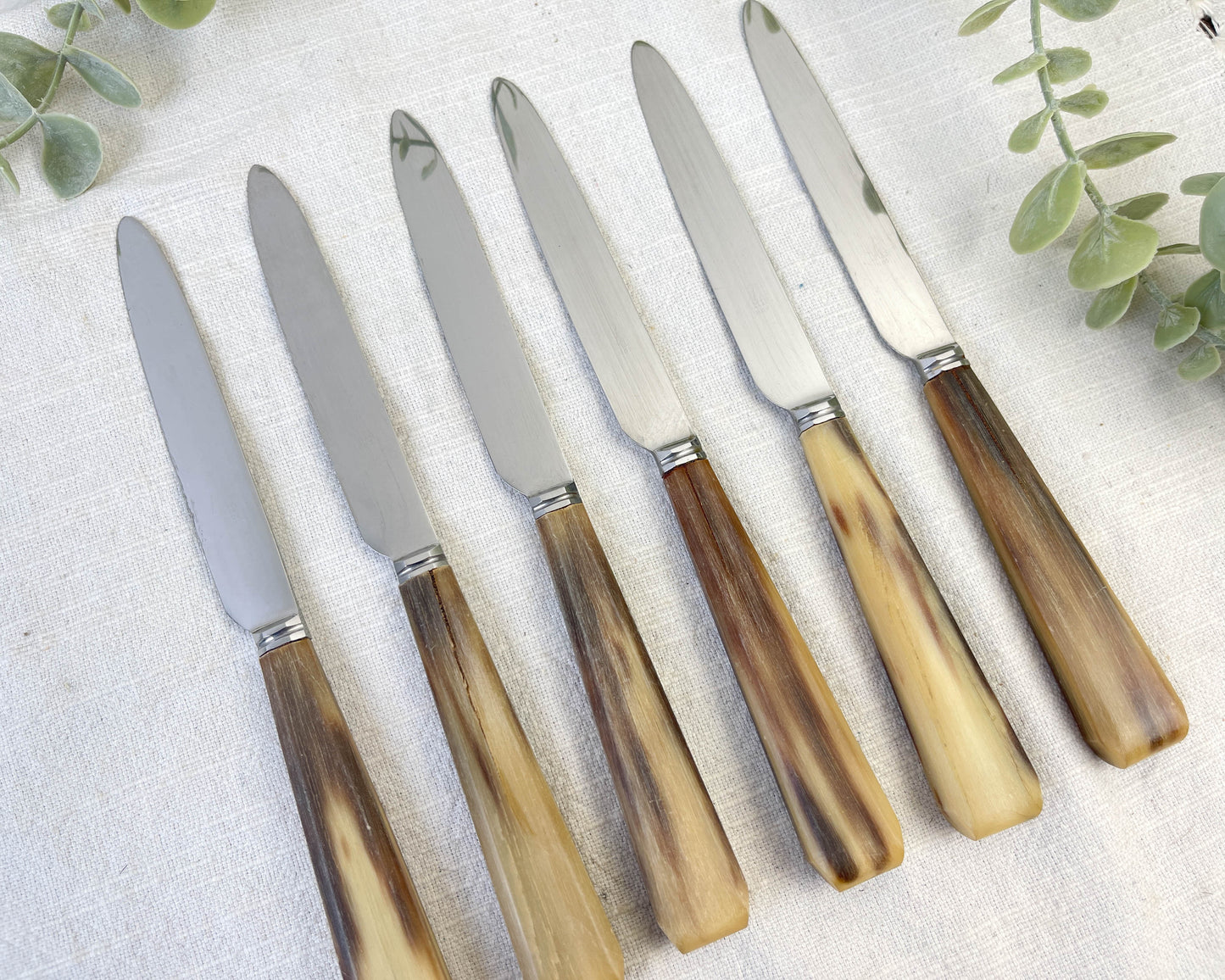 6 Couteaux à dessert vintages corne