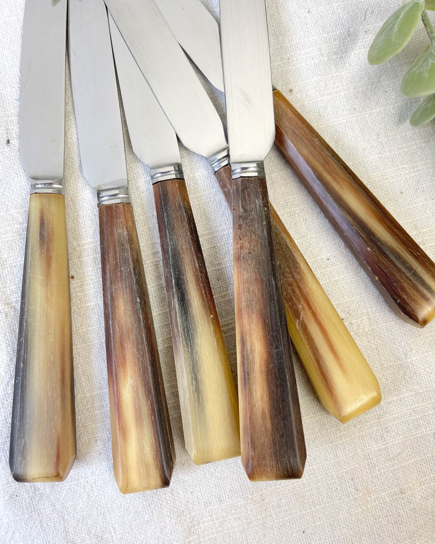 6 Couteaux à dessert vintages corne