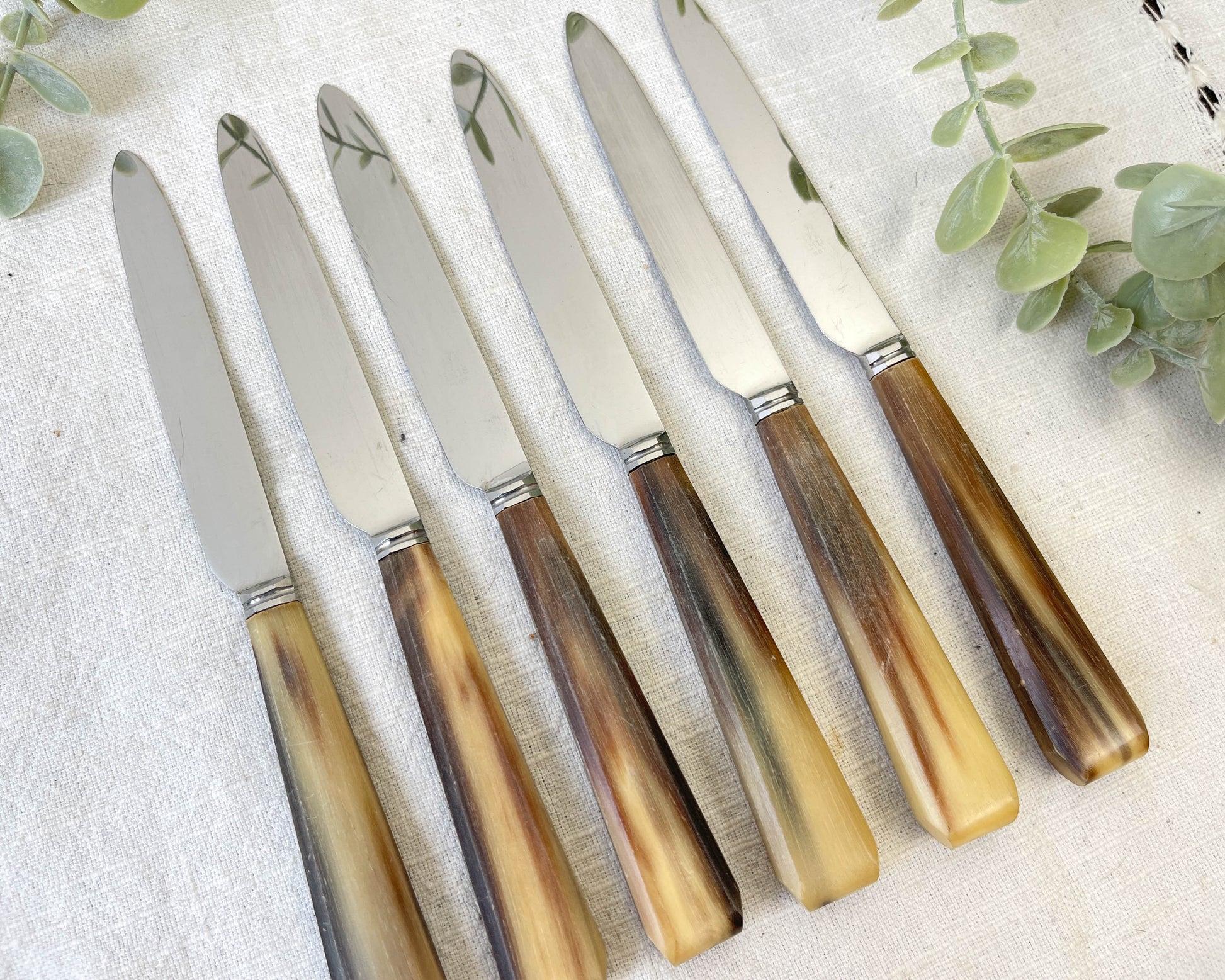 6 Couteaux à dessert vintages corne