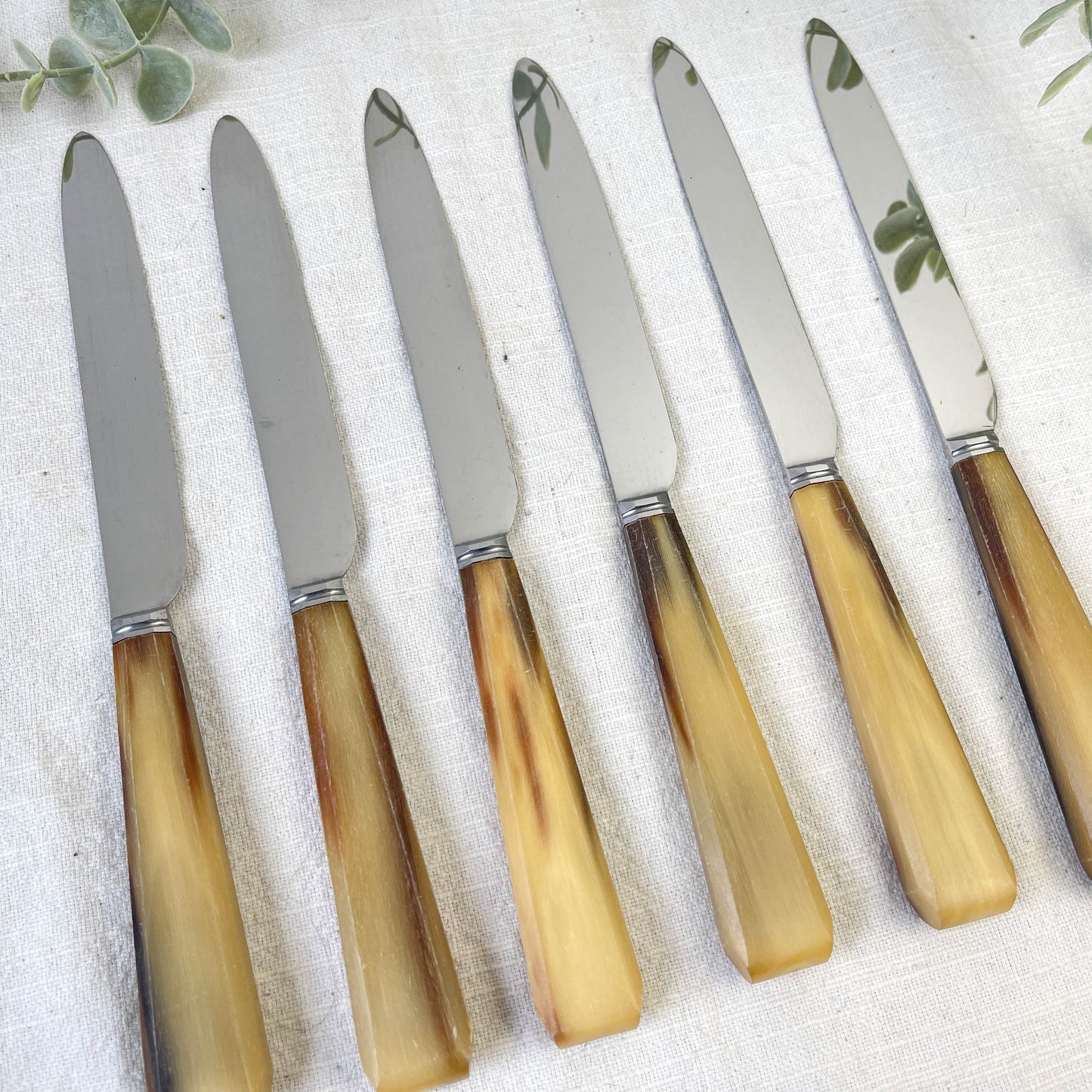 Lot de 6 couteaux de table vintage en corne