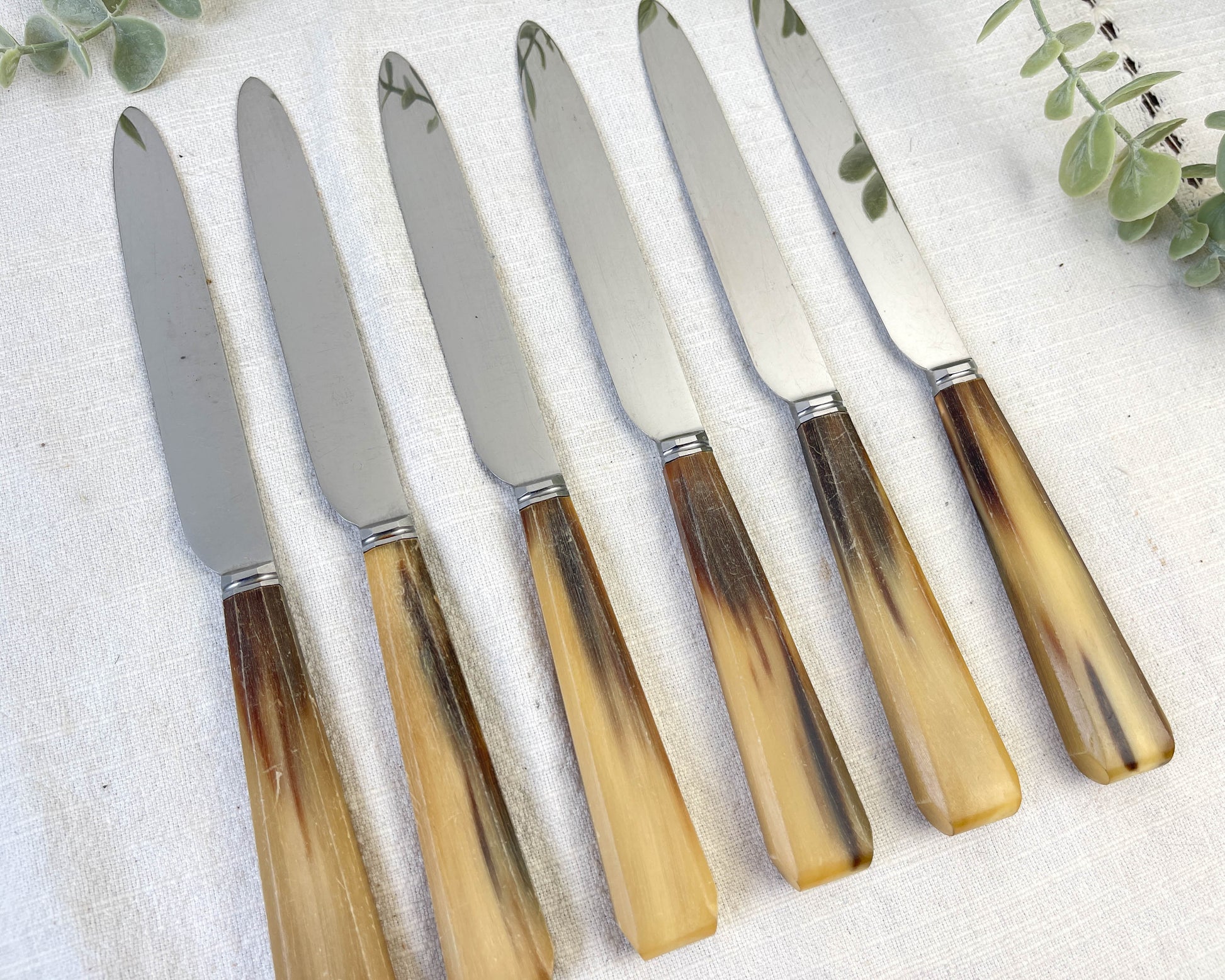 Lot de 6 couteaux de table vintage en corne