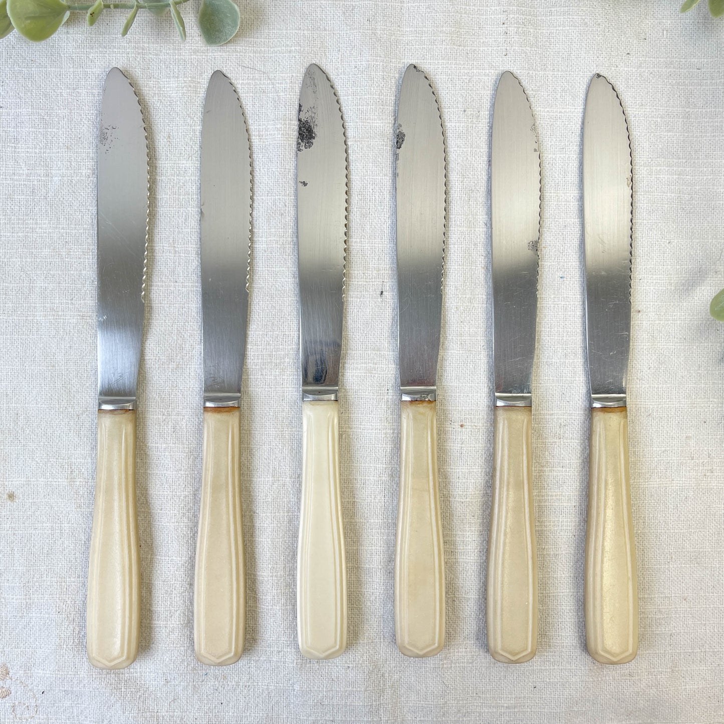 6 couteaux vintage Bakélite ivoire France