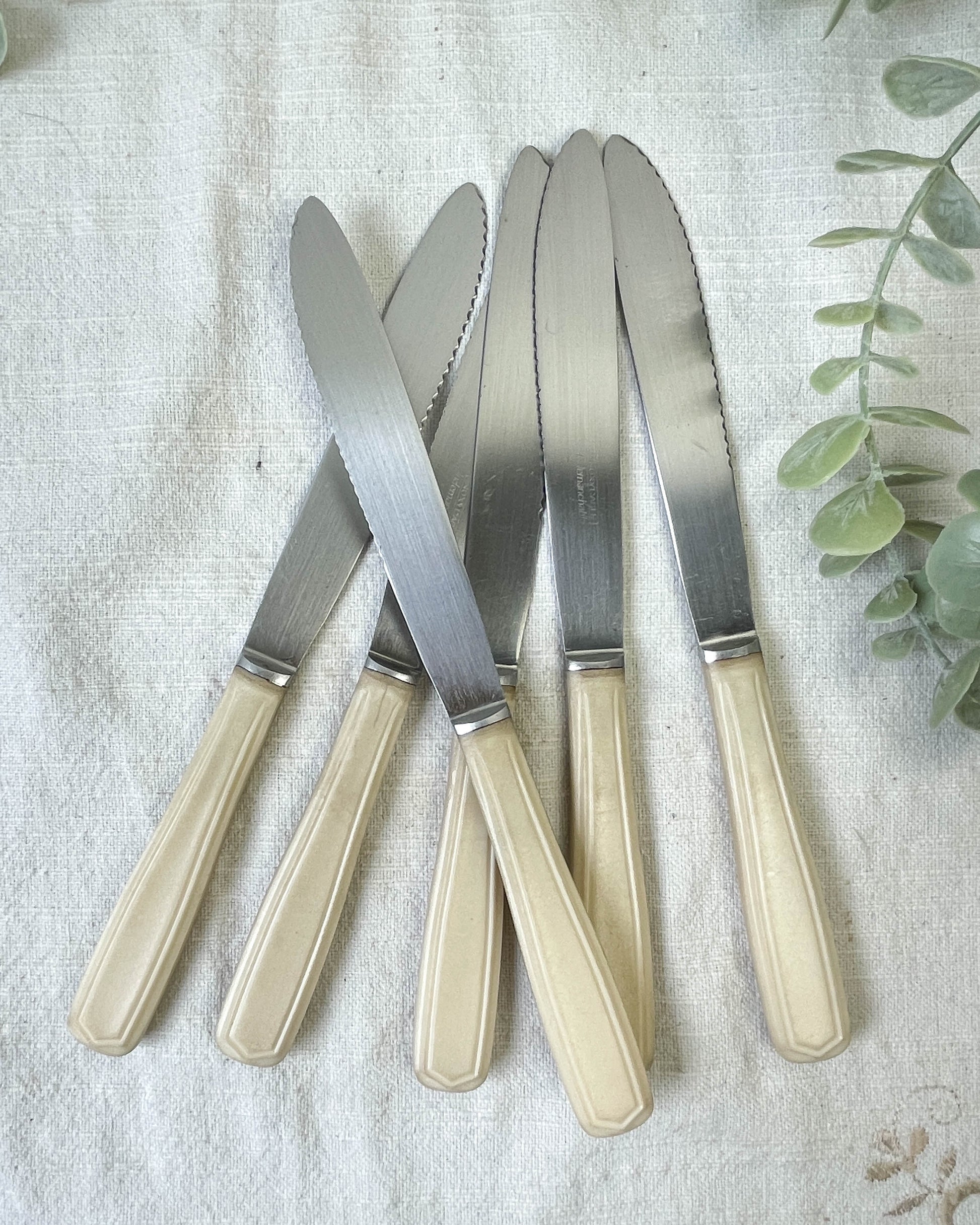 6 couteaux vintage Bakélite ivoire France