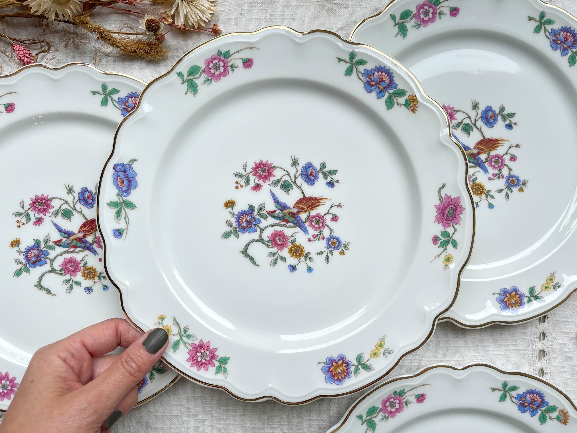 6 Assiettes plates vintage Française porcelaine Limoges motif oiseau de paradis et fleurs