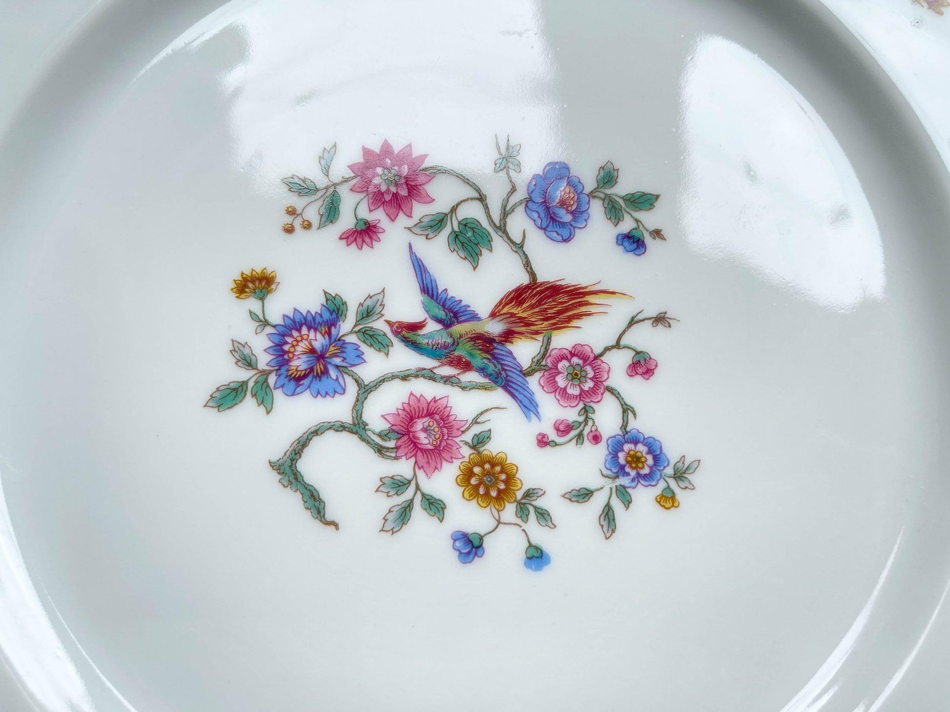 6 Assiettes plates vintage Française porcelaine Limoges motif oiseau de paradis et fleurs