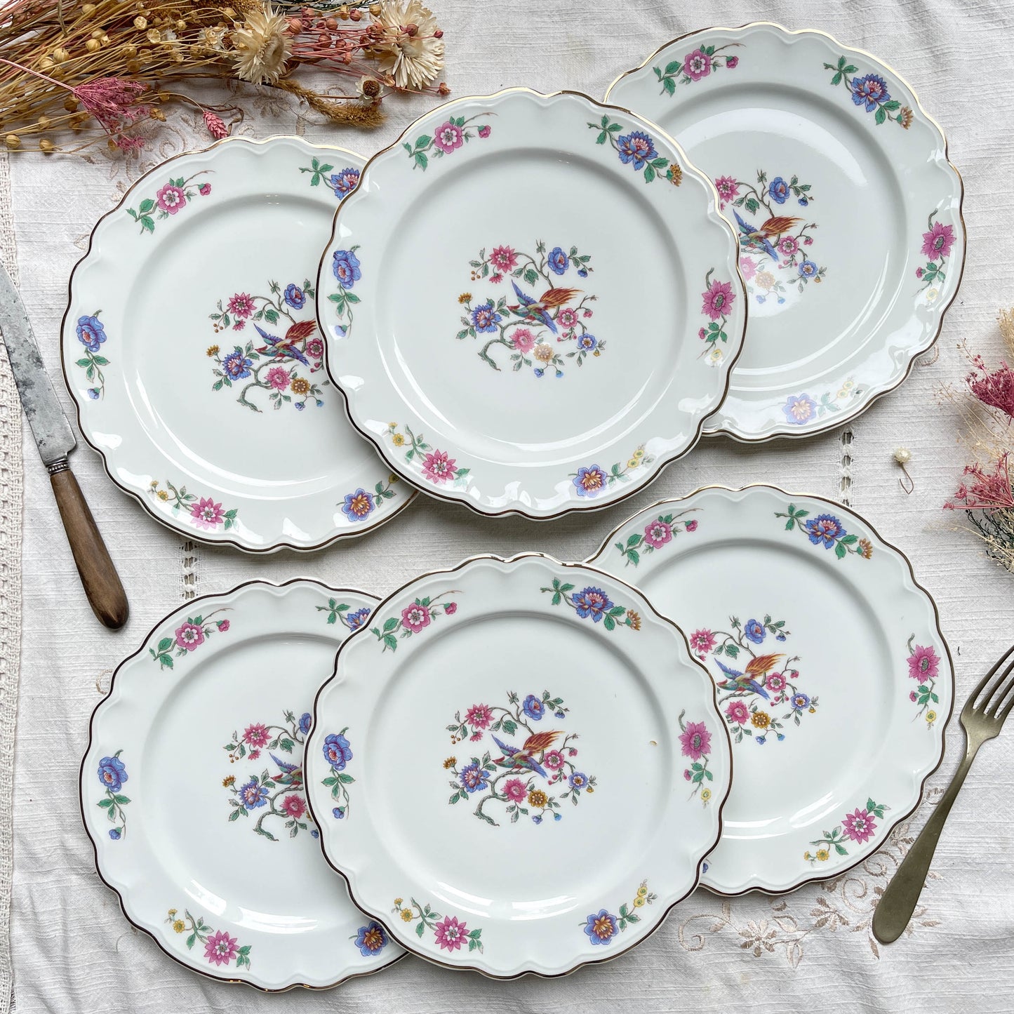 6 Assiettes plates vintage Française porcelaine Limoges motif oiseau de paradis et fleurs