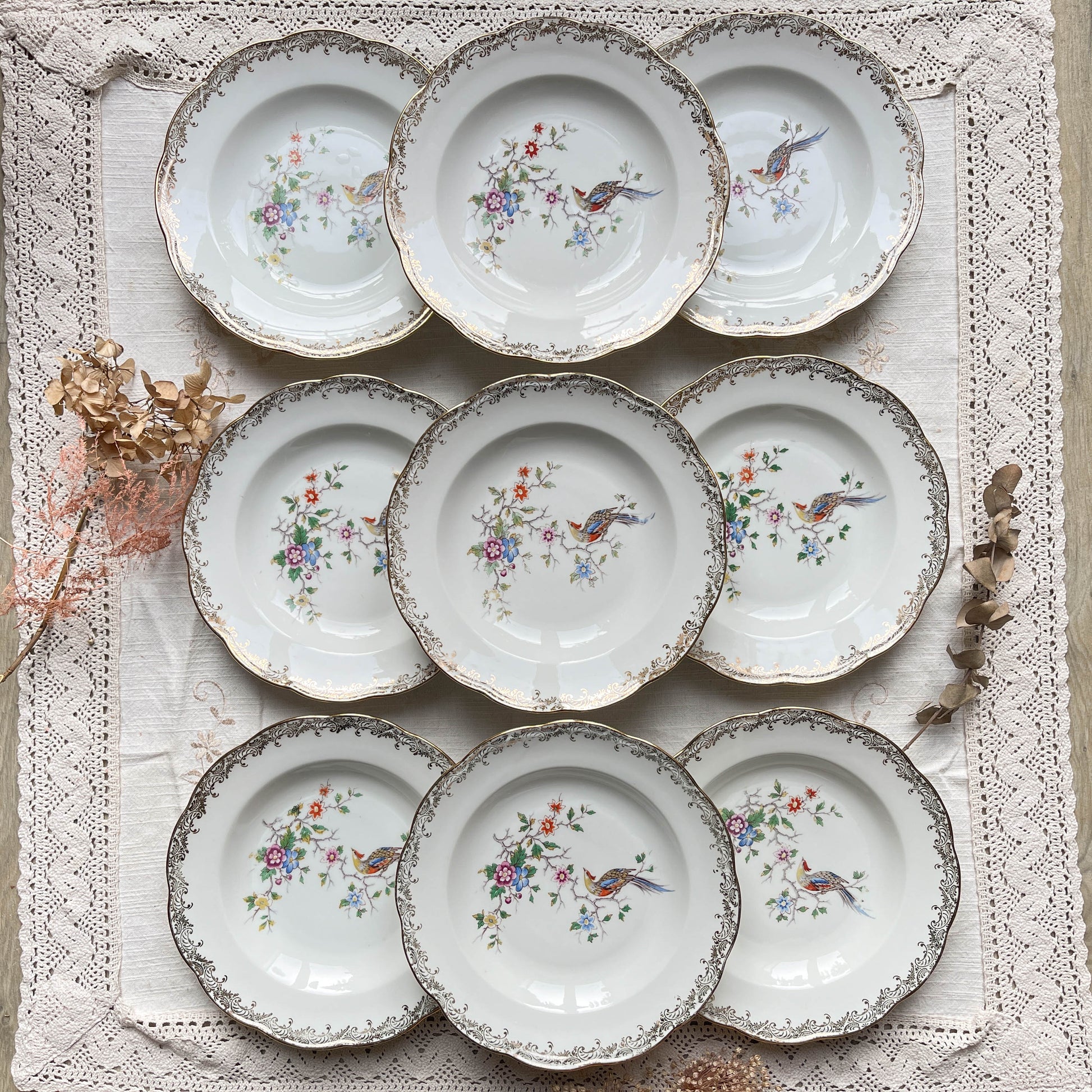 9 Assiettes creuses en porcelaine vintage Real Opalor Export motif oiseau de paradis