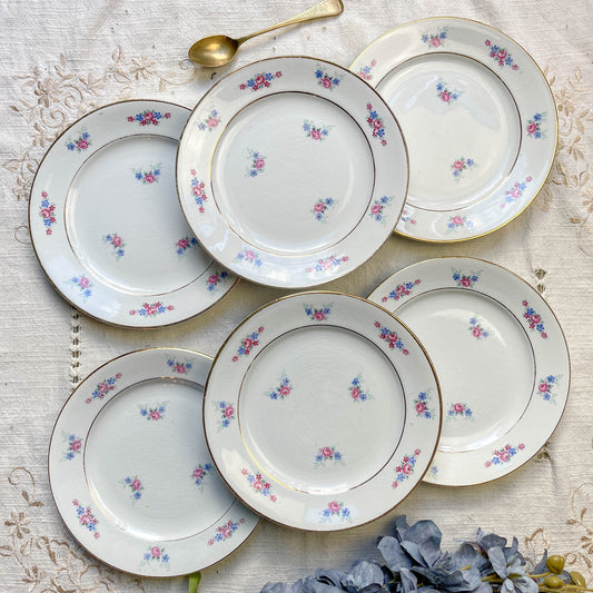 Lot de 6 petites assiettes en porcelaine vintage de Salins, décor floral bleu et rose, dorure.