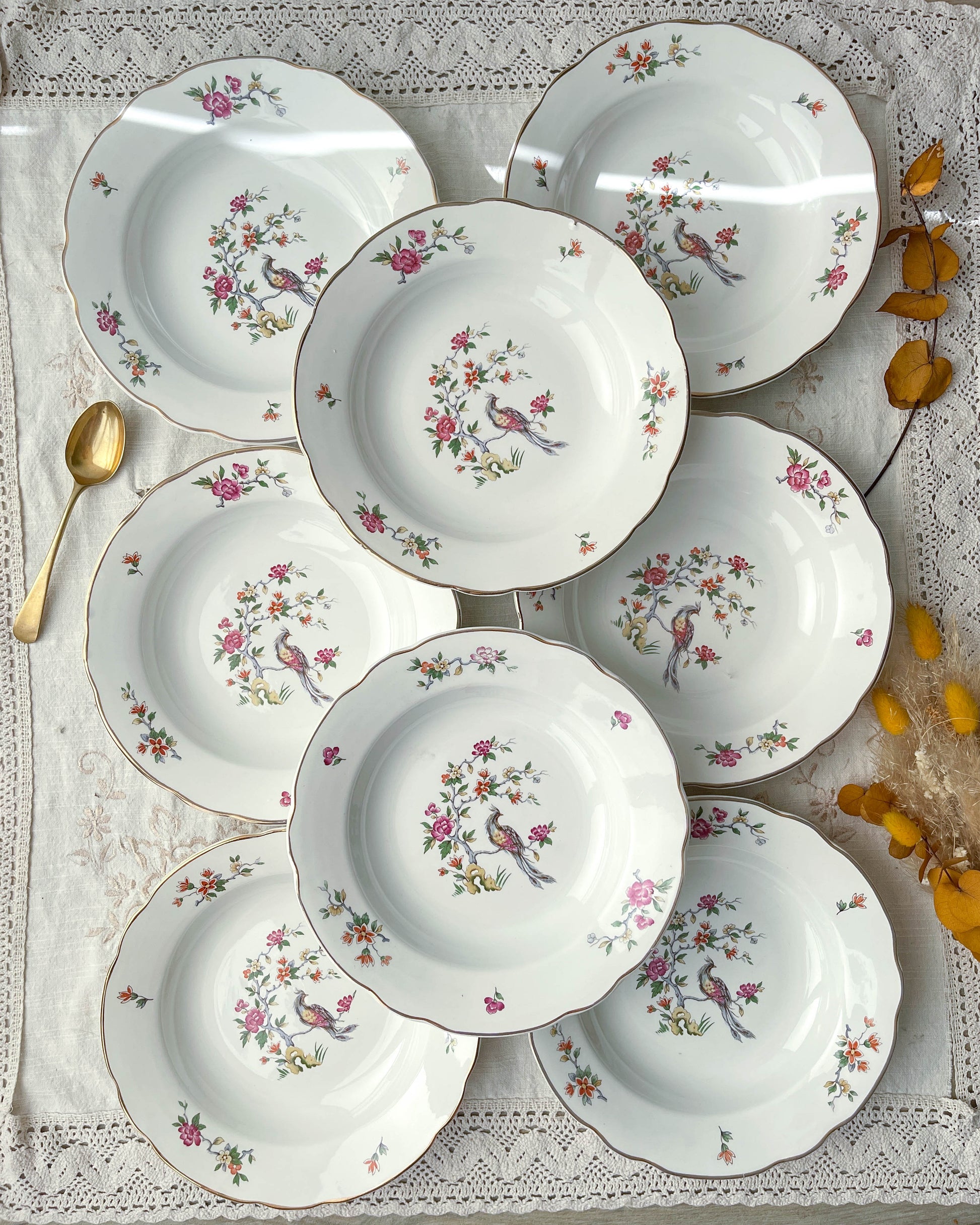 Assiettes creuses en porcelaine vintage DIGOIN SARREGUEMINES modèle CONDE motif oiseau de paradis