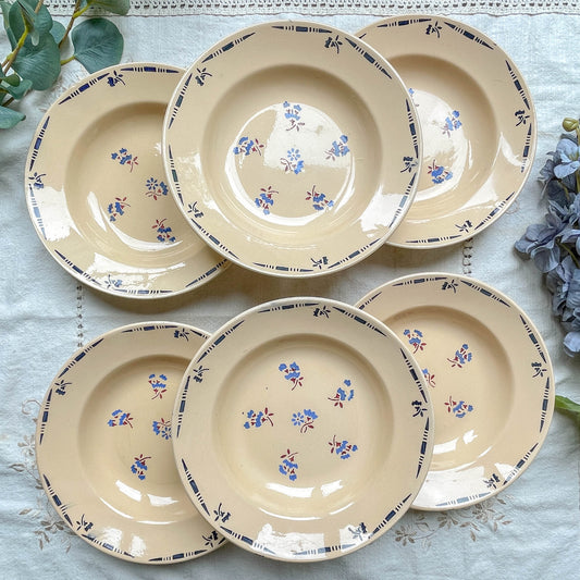 6 Assiettes creuses porcelaine vintage K&g Luneville "Flore" 1950s petites fleures bleues