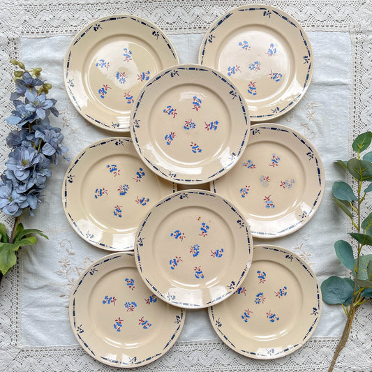 Lot de 8 assiettes plates en porcelaine vintage K&G Lunéville, modèle "Flore" des années 1950, décorées de petites fleurs bleues délicates.
