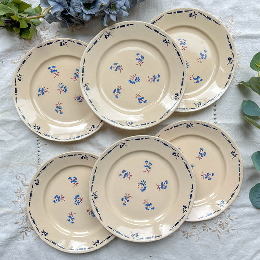 Lot de 6 assiettes plates en porcelaine vintage K&G Lunéville, modèle "Flore" des années 1950, décorées de petites fleurs bleues délicates.