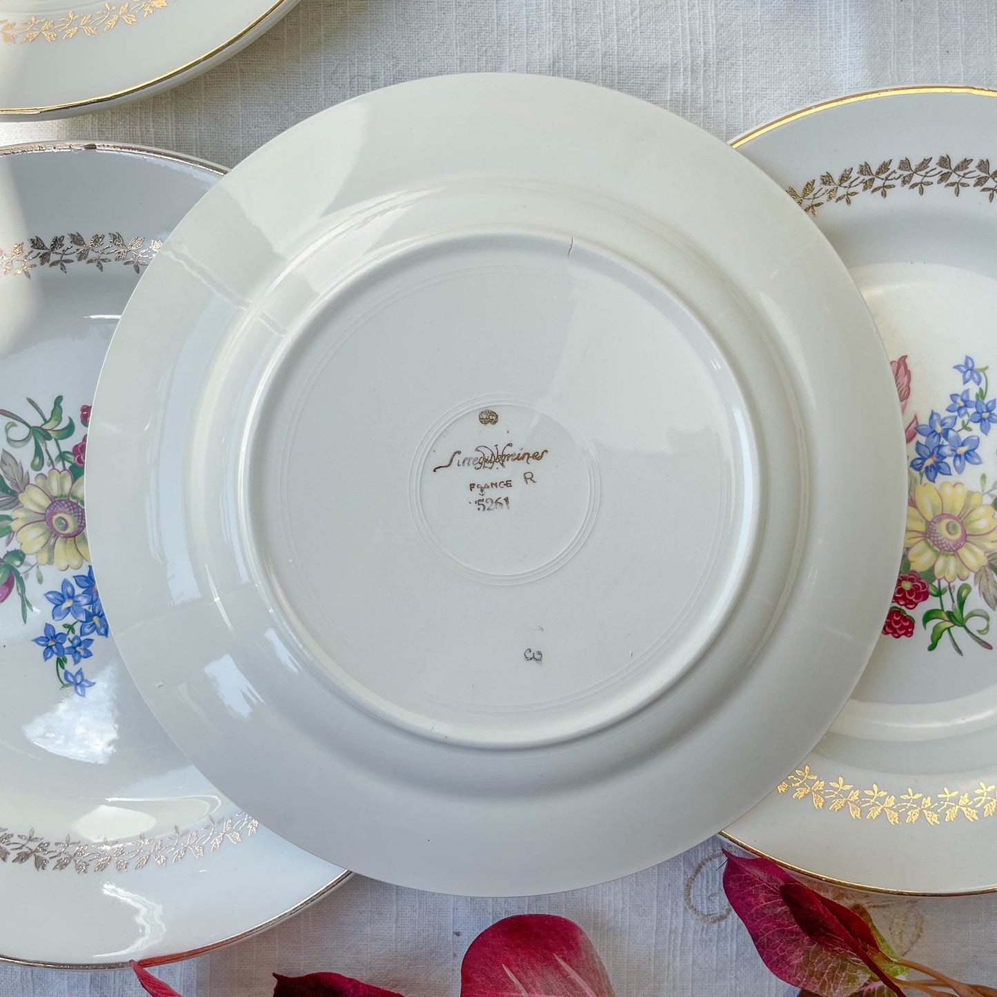 6 Assiettes plates en porcelaine vintage motif fleuri Sarreguemines 5261 -Vaisselle vintage fleurie -Vaisselle Française Assiettes-vintage