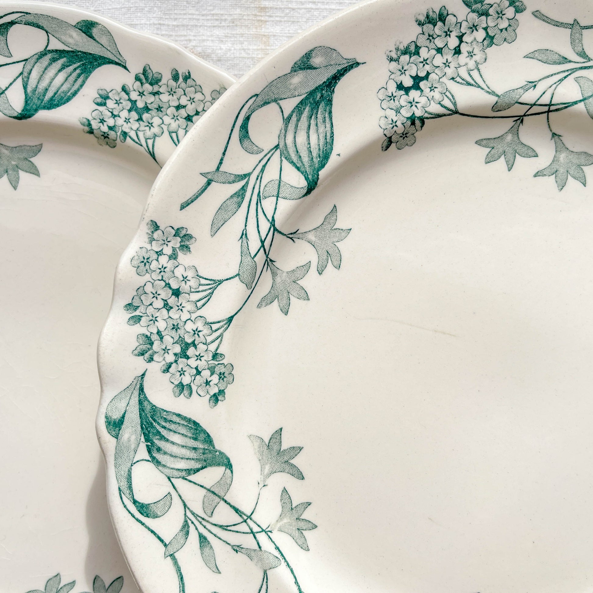 Lot de 6 assiettes plates anciennes en Terre de Fer, modèle 'Lilas' de la manufacture Longchamp – faïence blanche à décor floral bleu, France, fin XIXe siècle