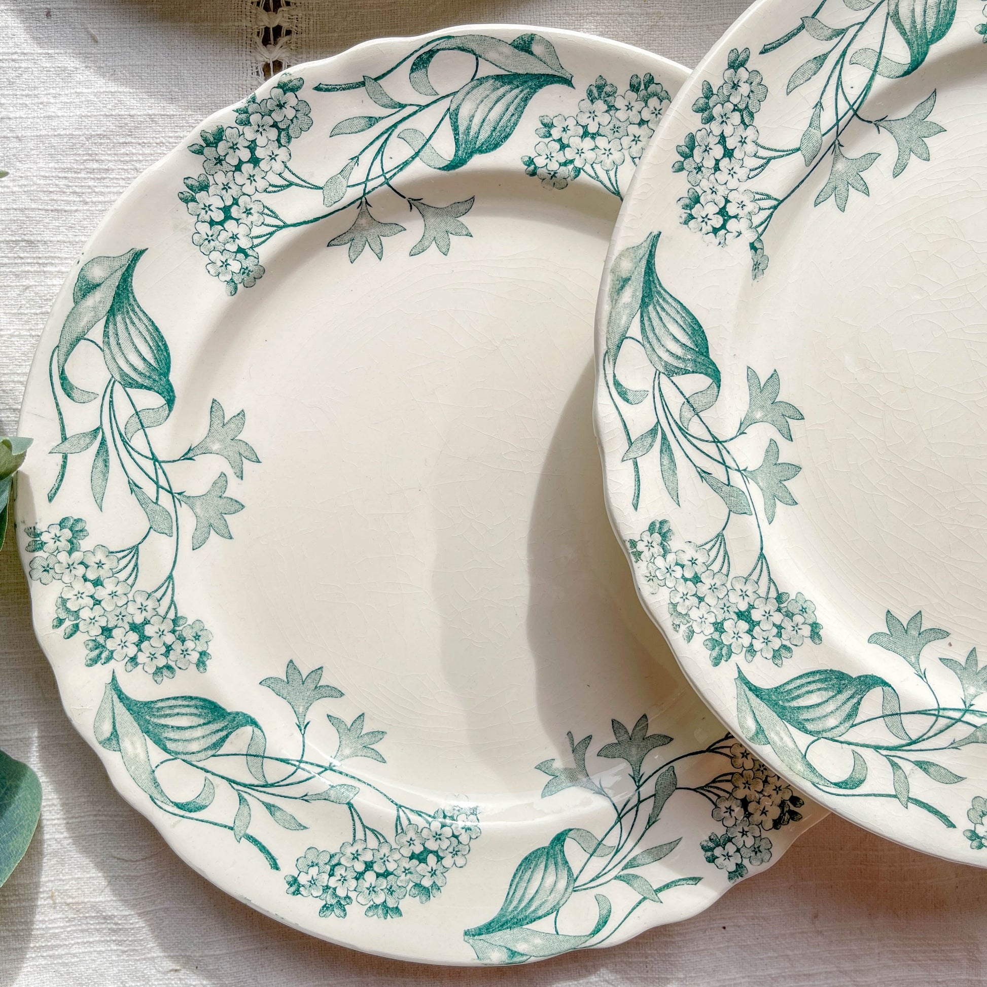 Lot de 6 assiettes plates anciennes en Terre de Fer, modèle 'Lilas' de la manufacture Longchamp – faïence blanche à décor floral bleu, France, fin XIXe siècle