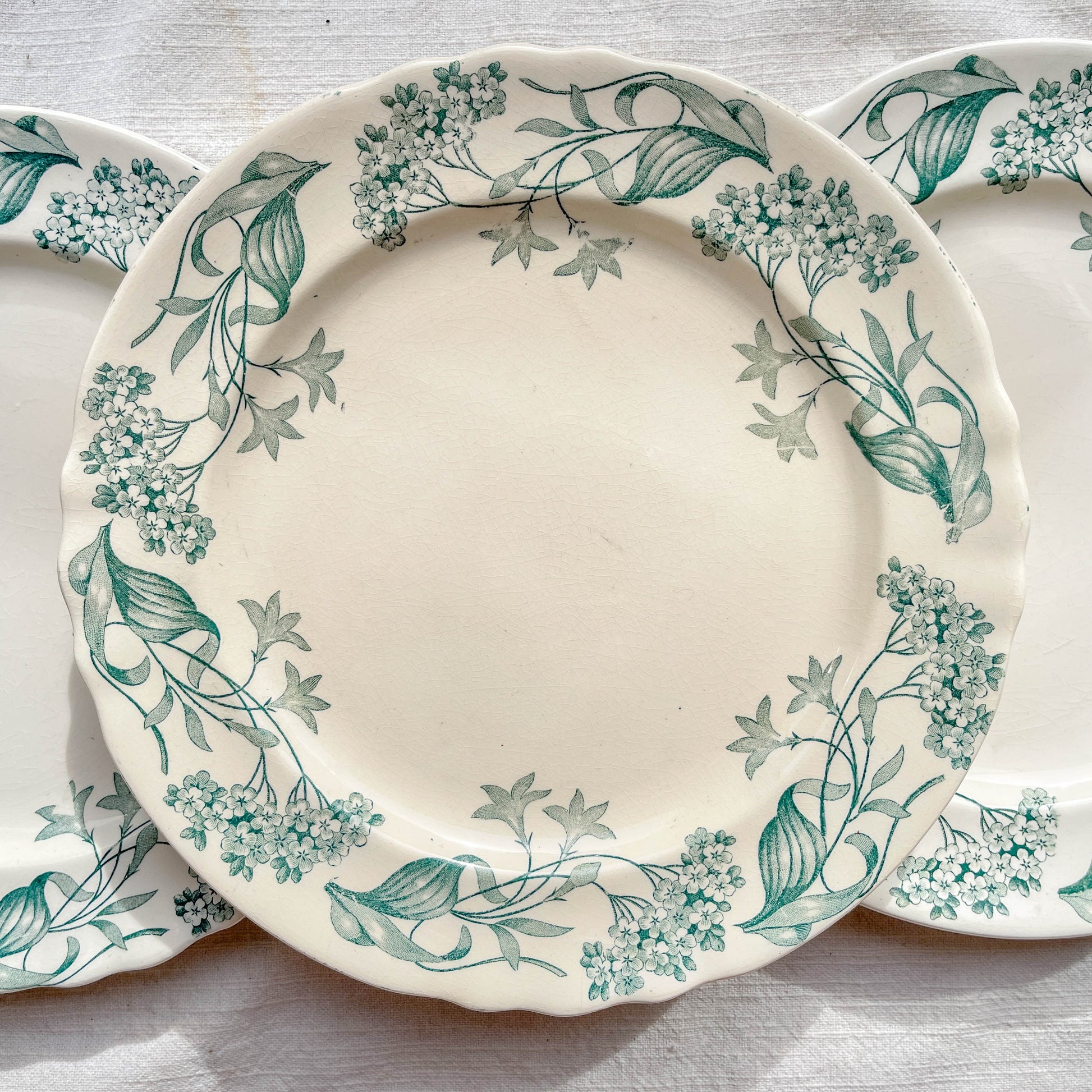 Lot de 6 assiettes plates anciennes en Terre de Fer, modèle 'Lilas' de la manufacture Longchamp – faïence blanche à décor floral bleu, France, fin XIXe siècle