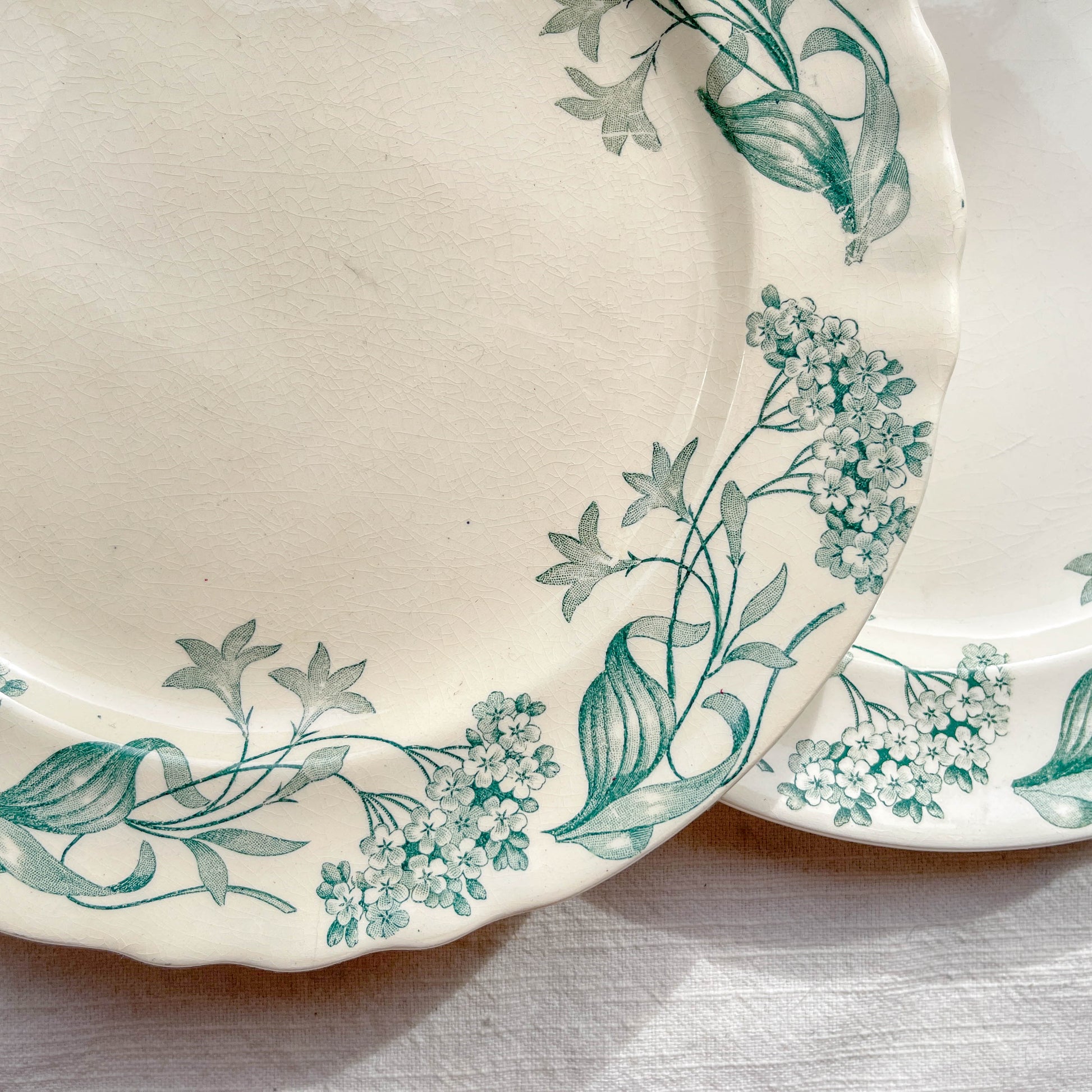 Lot de 6 assiettes plates anciennes en Terre de Fer, modèle 'Lilas' de la manufacture Longchamp – faïence blanche à décor floral bleu, France, fin XIXe siècle