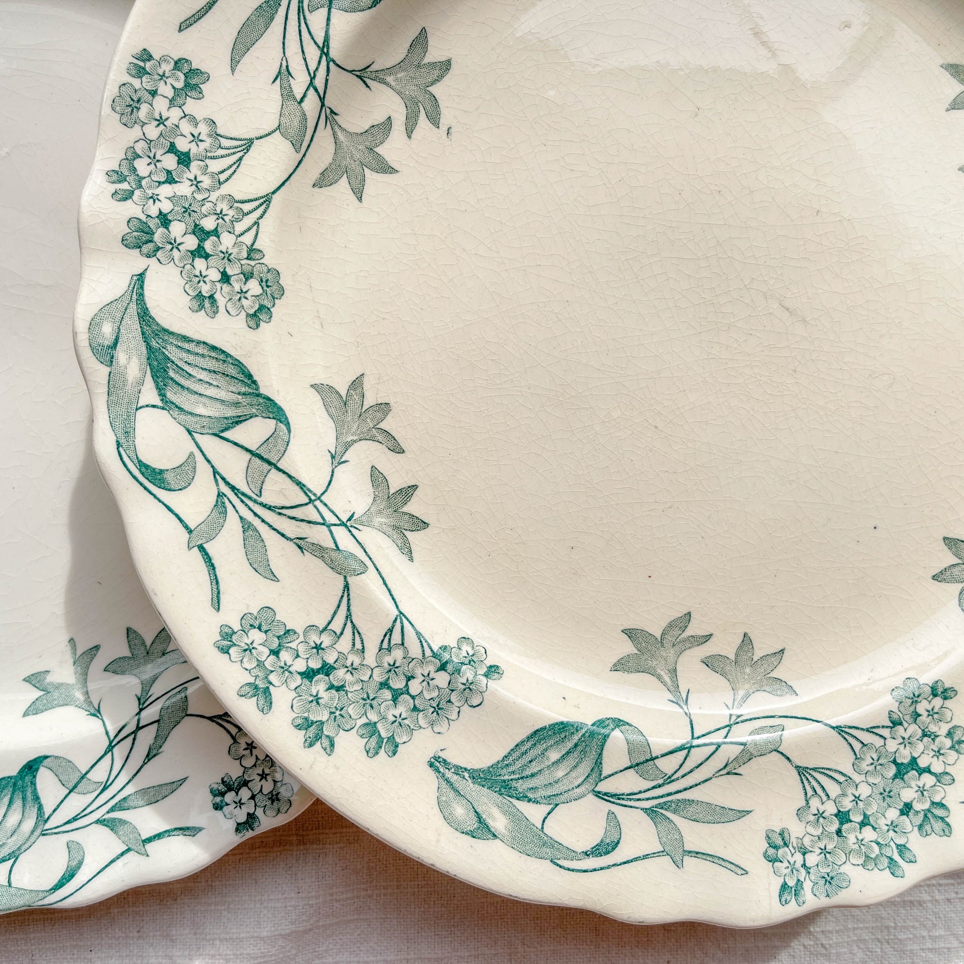 Lot de 6 assiettes plates anciennes en Terre de Fer, modèle 'Lilas' de la manufacture Longchamp – faïence blanche à décor floral bleu, France, fin XIXe siècle