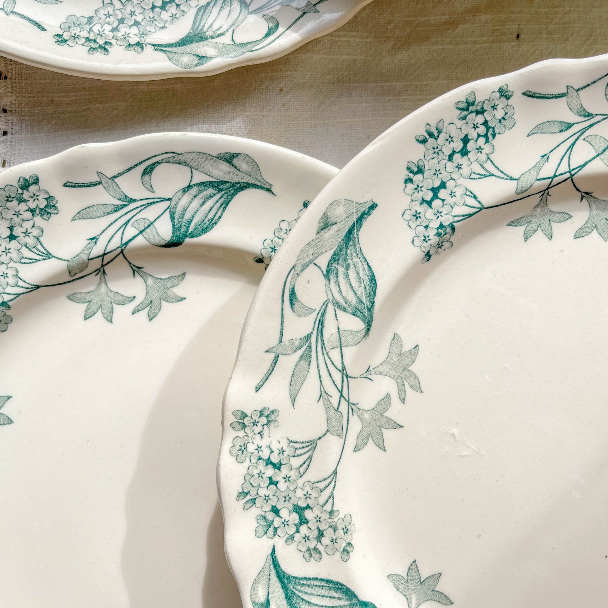 Lot de 6 assiettes plates anciennes en Terre de Fer, modèle 'Lilas' de la manufacture Longchamp – faïence blanche à décor floral bleu, France, fin XIXe siècle