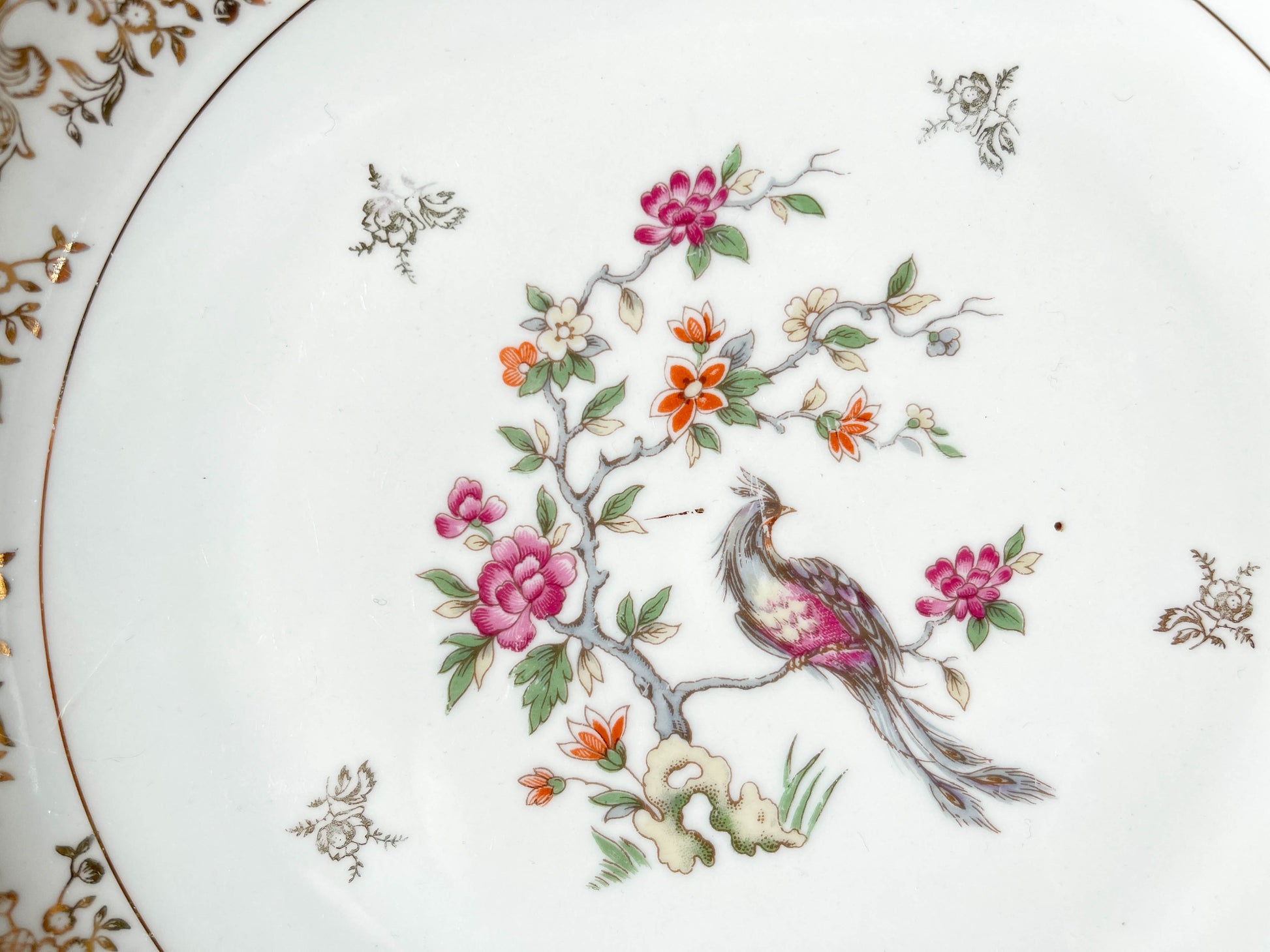 4 Assiettes plates en porcelaine de Limoges motif oiseau de paradis