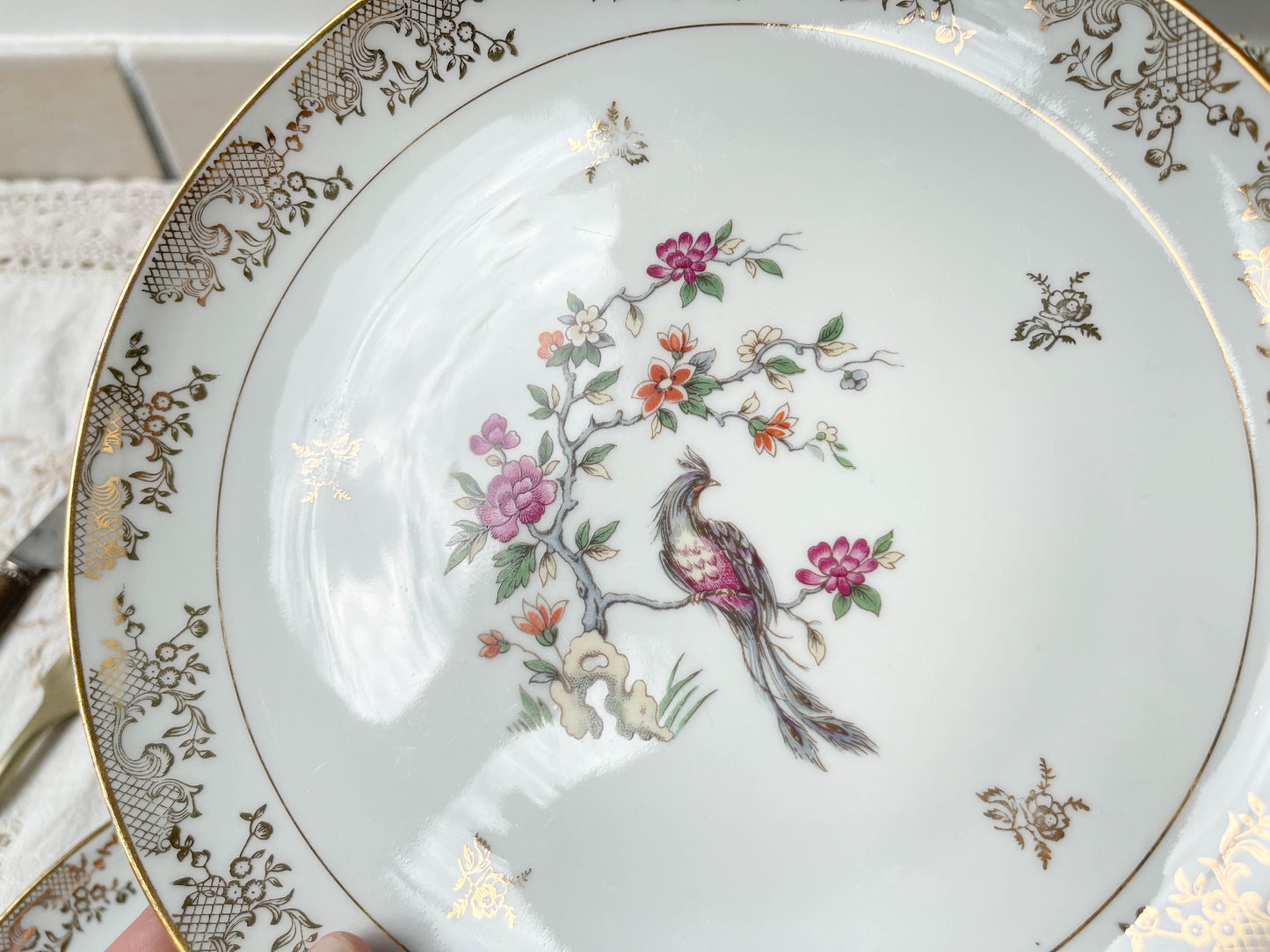 4 Assiettes plates en porcelaine de Limoges motif oiseau de paradis