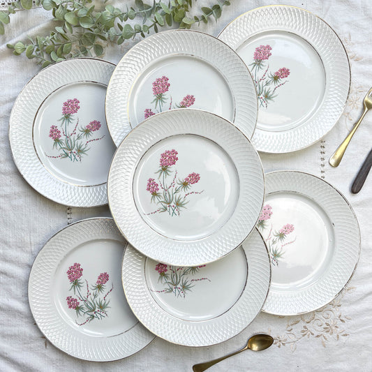 7 Assiettes plates en porcelaine fleurie vintage Française Moulin des loups Orchies 1950
