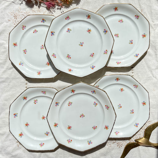6 Assiettes plates en porcelaine Française fleurie LAMOTTE 