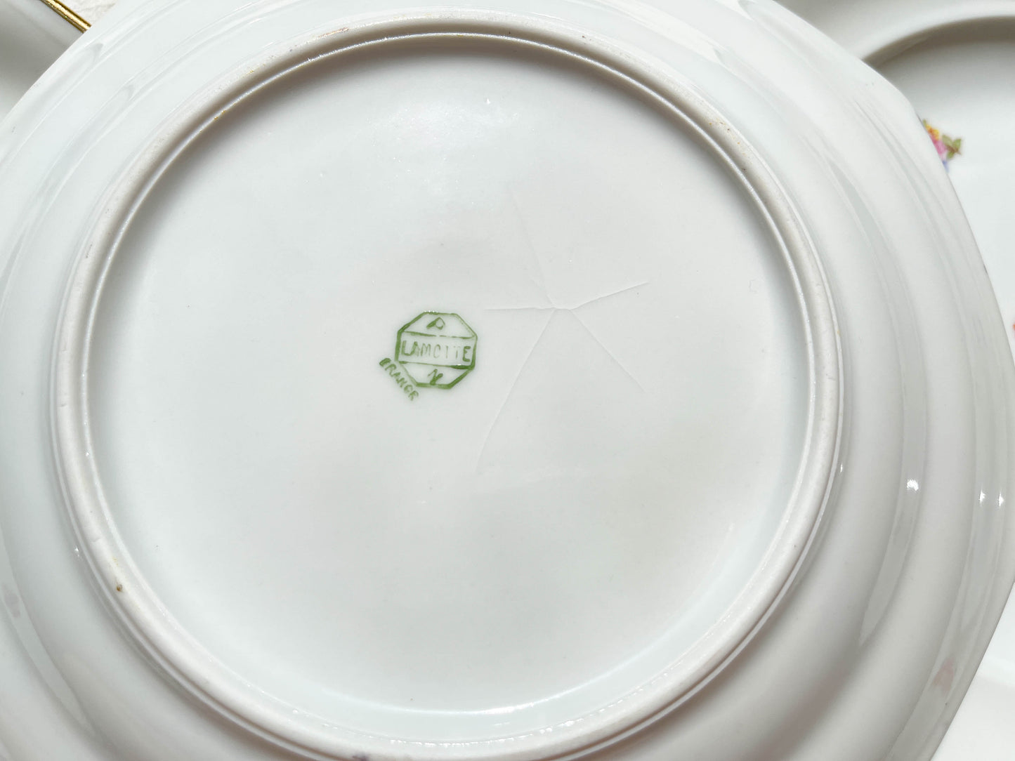 6 Assiettes creuses en porcelaine Française fleurie LAMOTTE