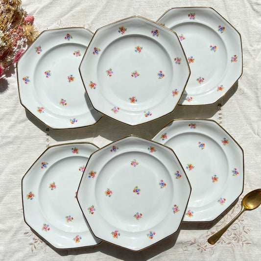 6 Assiettes creuses en porcelaine Française fleurie LAMOTTE