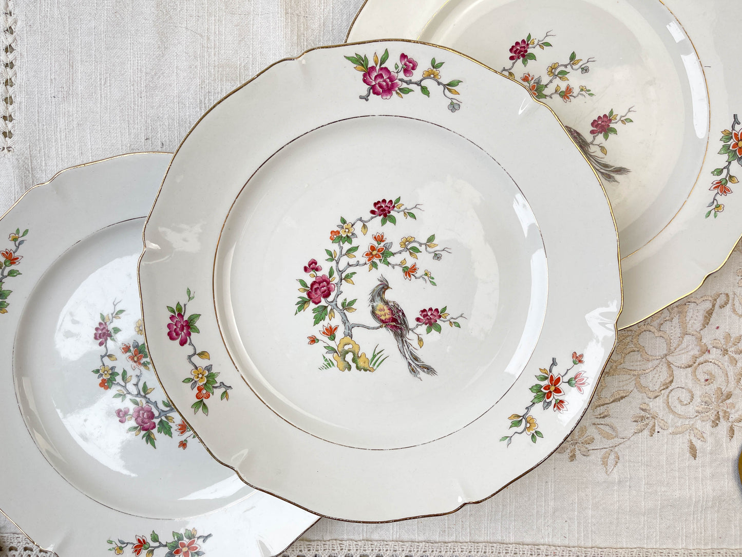 8 Assiettes plates en porcelaine Céranord motif oiseau de paradis modèle "REGENCE"