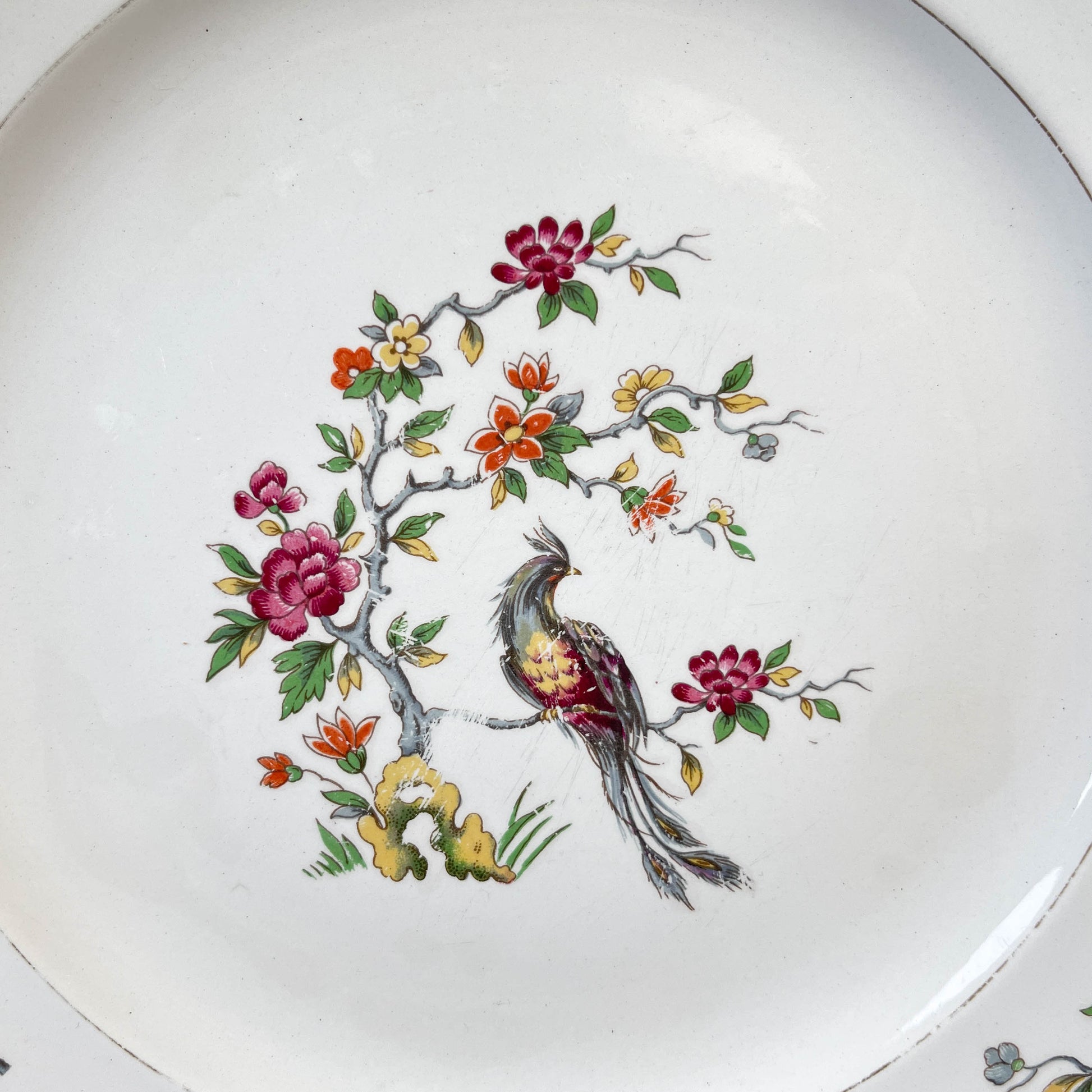8 Assiettes plates en porcelaine Céranord motif oiseau de paradis modèle "REGENCE"