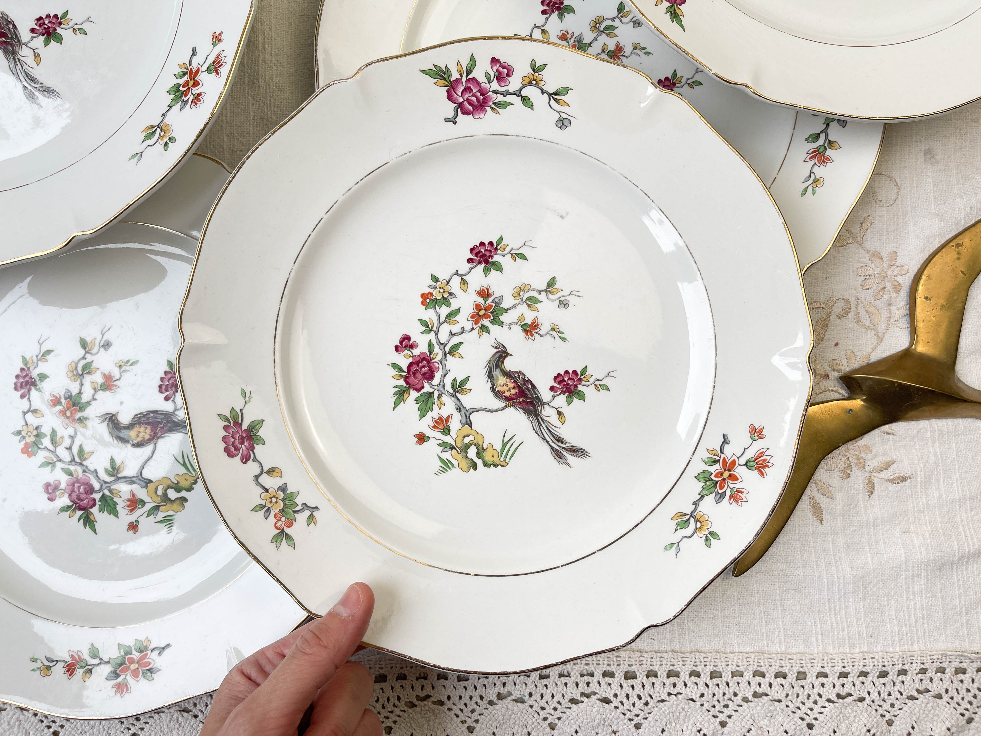8 Assiettes plates en porcelaine Céranord motif oiseau de