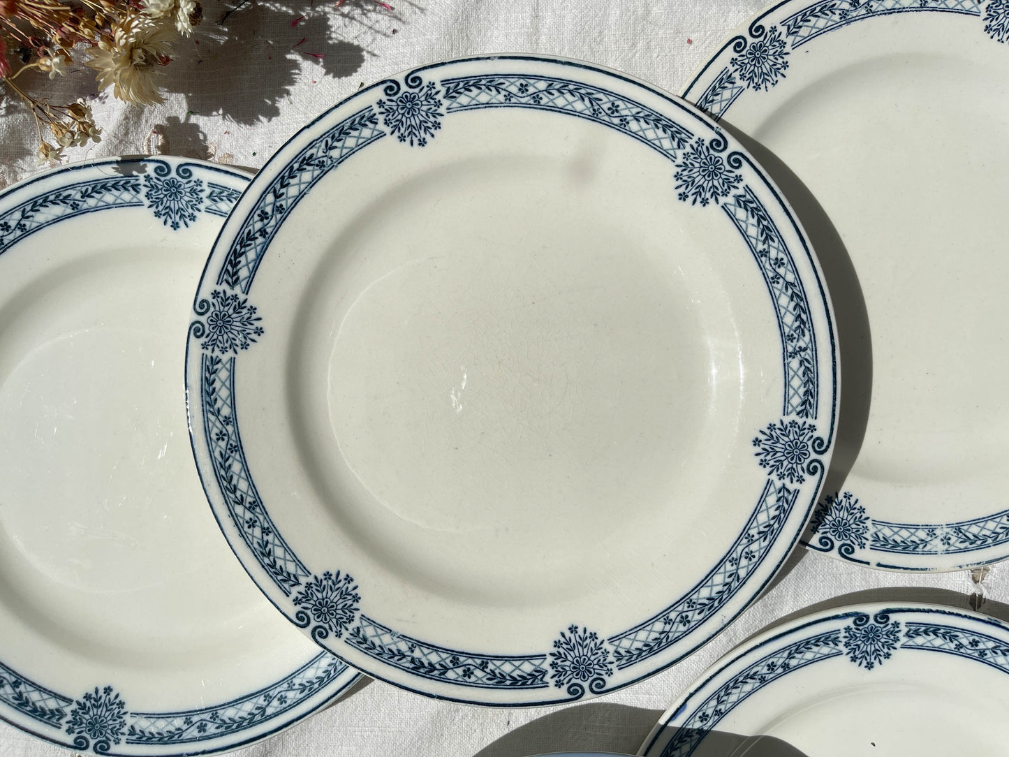 6 Assiettes plates Terre de fer bleue Salins modèle Arbois Ennege