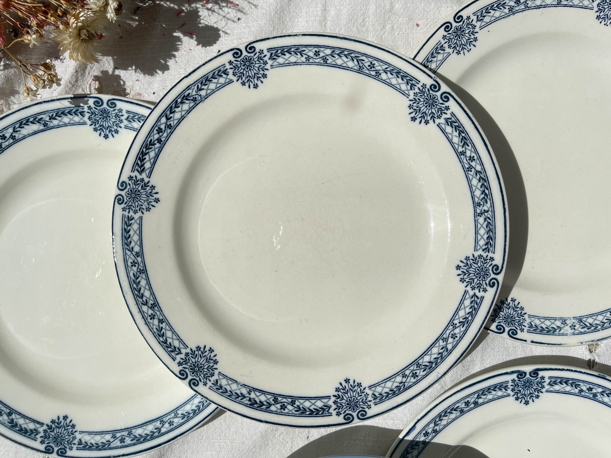 6 Assiettes plates Terre de fer bleue Salins modèle Arbois Ennege