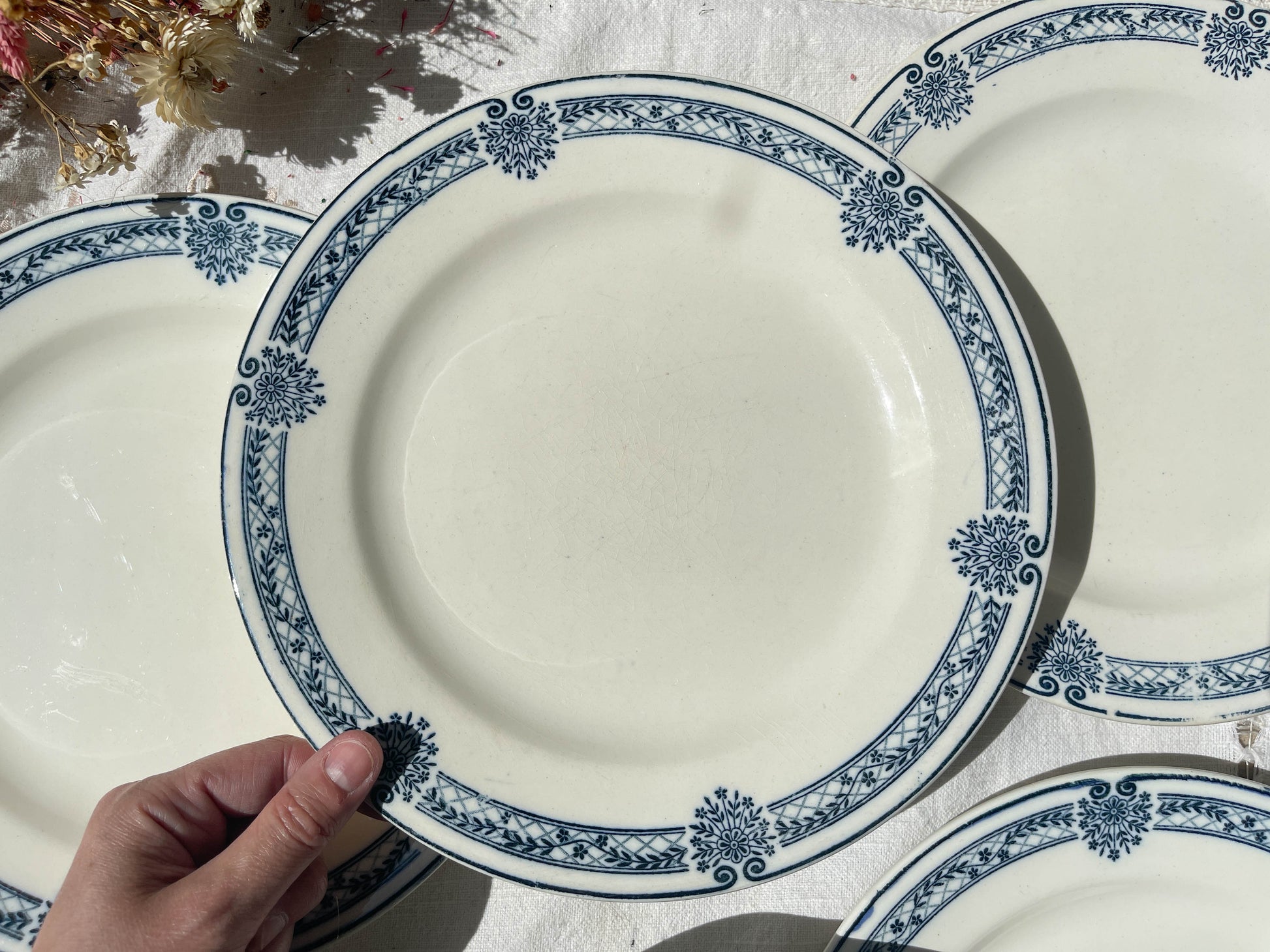 6 Assiettes plates Terre de fer bleue Salins modèle Arbois Ennege
