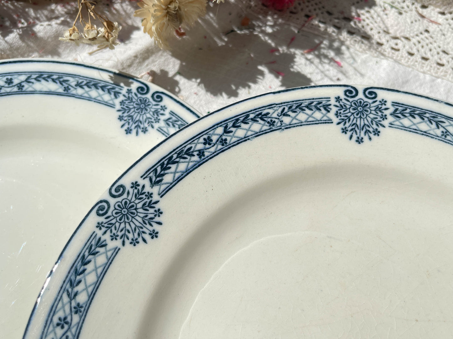 6 Assiettes plates Terre de fer bleue Salins modèle Arbois Ennege