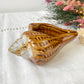 Cendrier en céramique coquillage vintage Année 50 