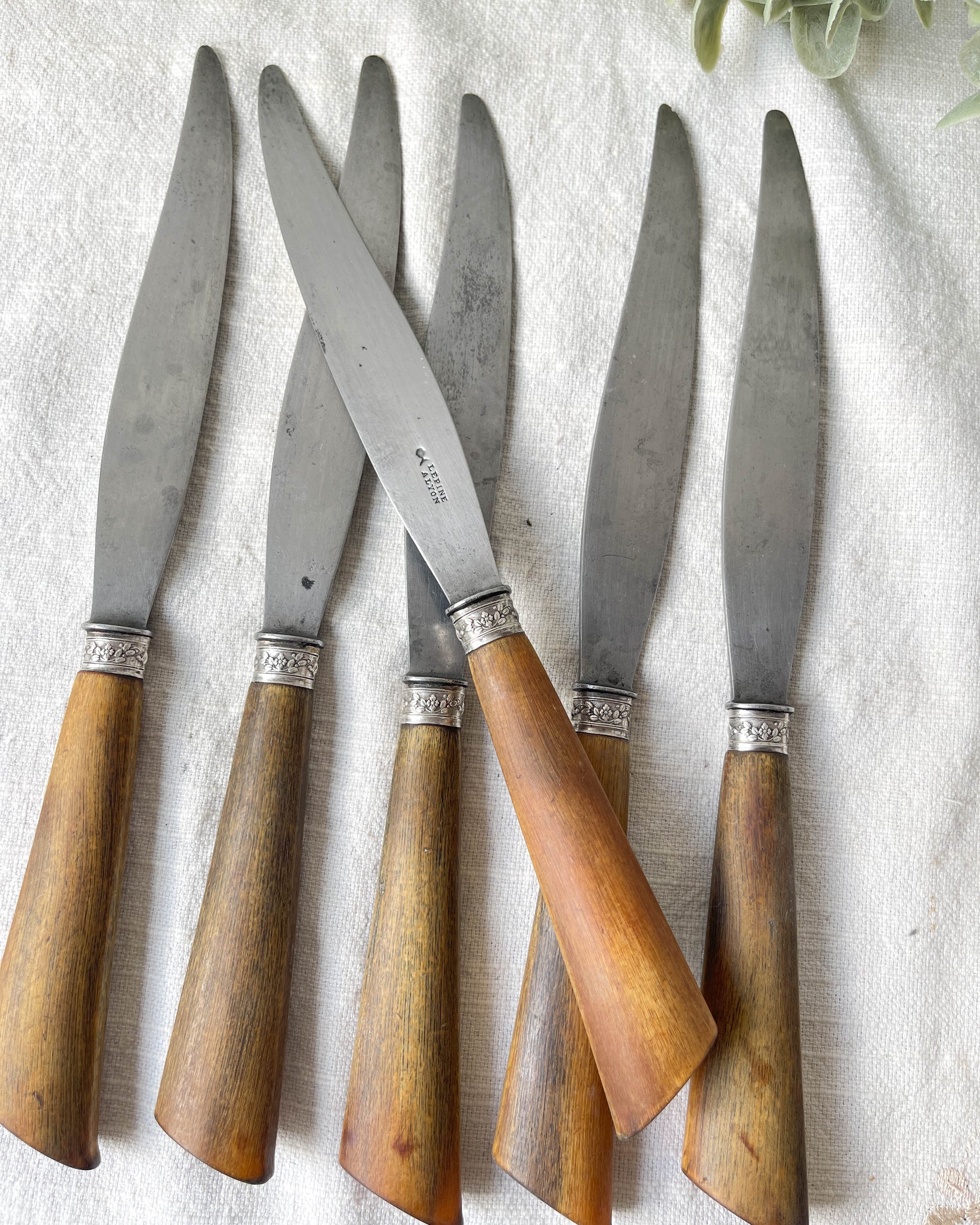 6 Couteaux vintages cornes Argent Lame acier LEPINE A LYON France XIXème