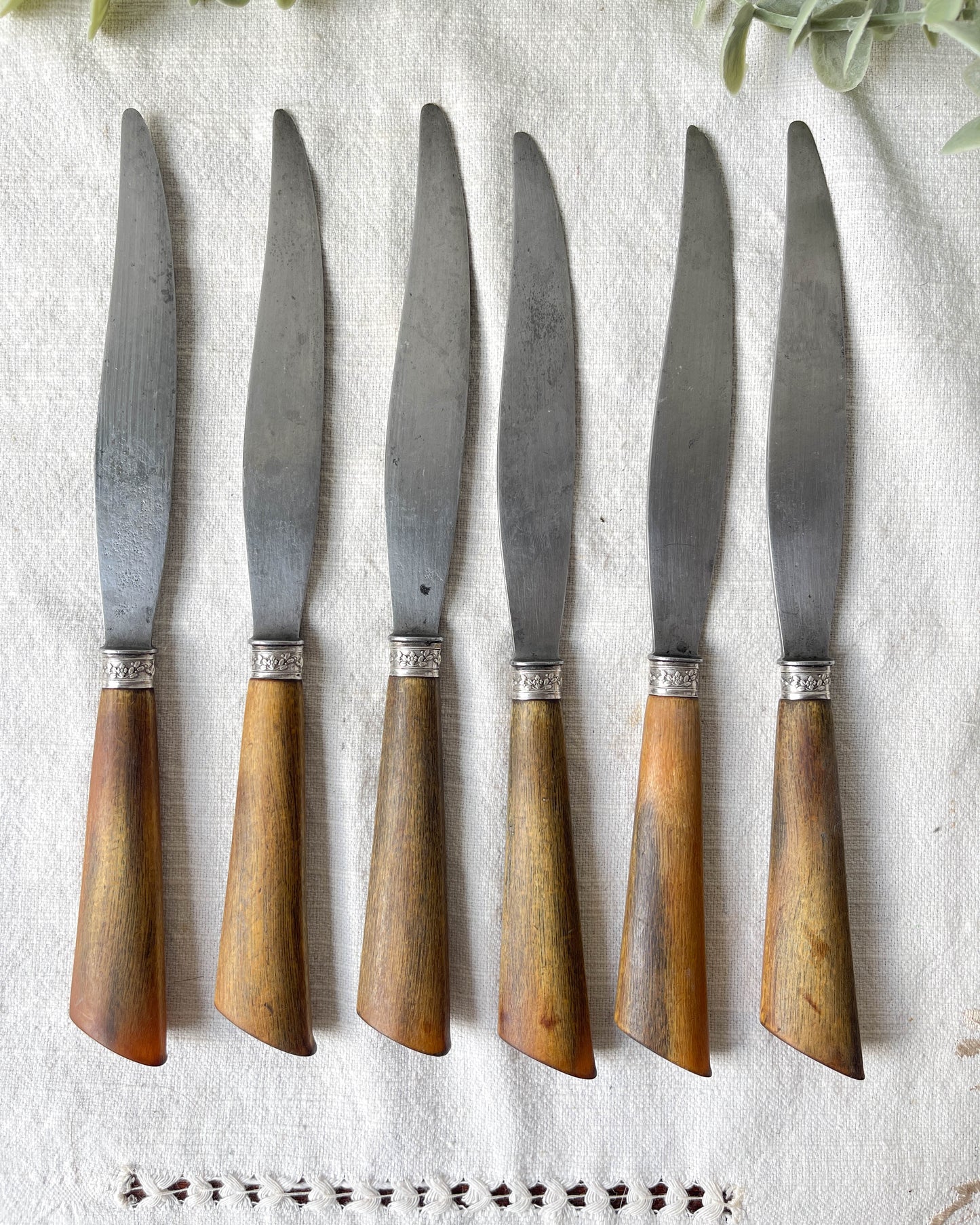 6 Couteaux vintages cornes Argent Lame acier LEPINE A LYON France XIXème