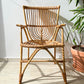Fauteuils en rotin vintage 1970