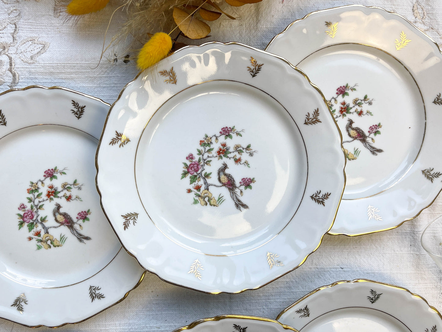 6 Petites assiettes en porcelaine de Limoges Berry motif oiseau de paradis