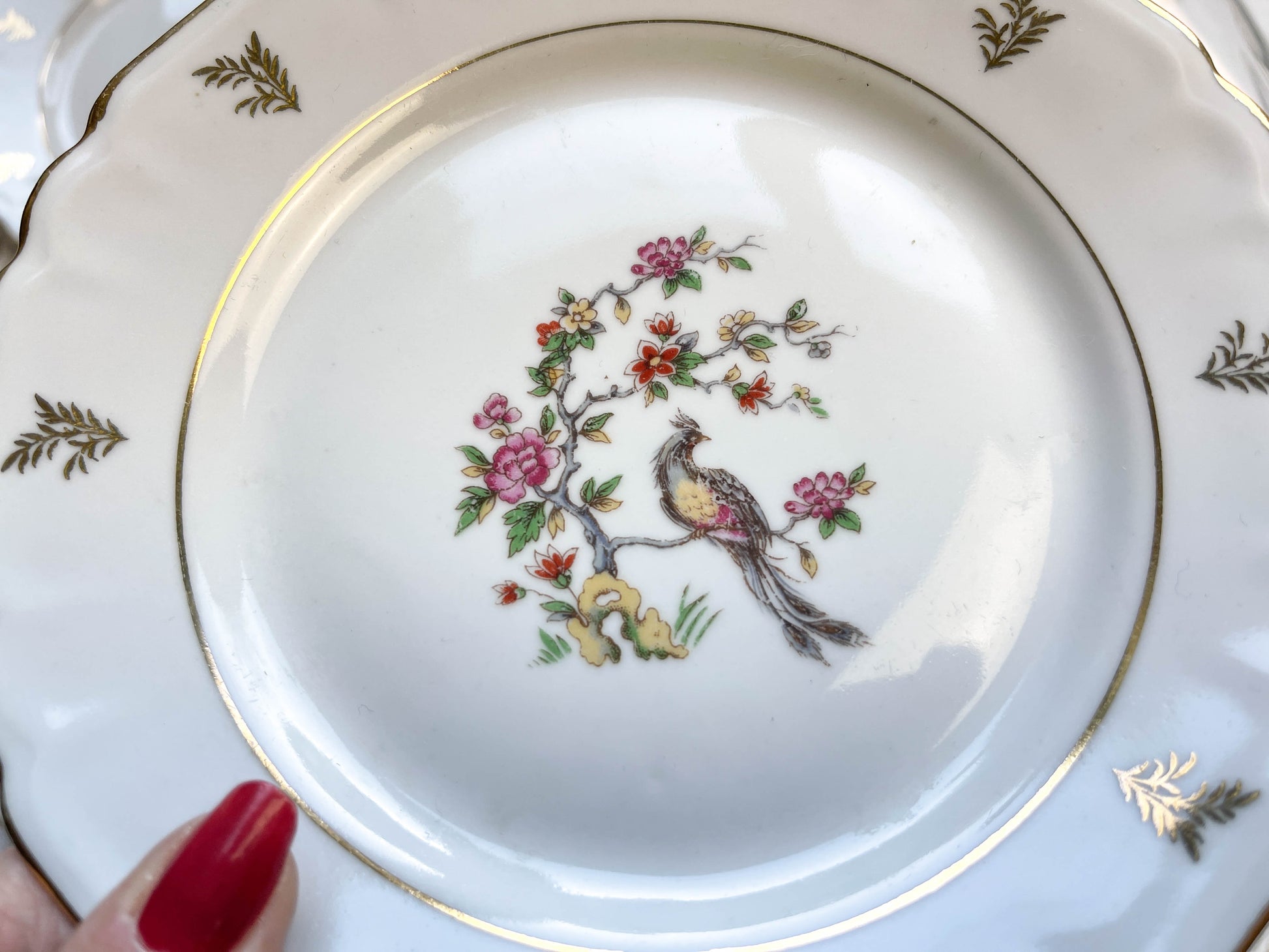 6 Petites assiettes en porcelaine de Limoges Berry motif oiseau de paradis