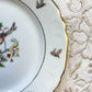 6 Petites assiettes en porcelaine de Limoges Berry motif oiseau de paradis