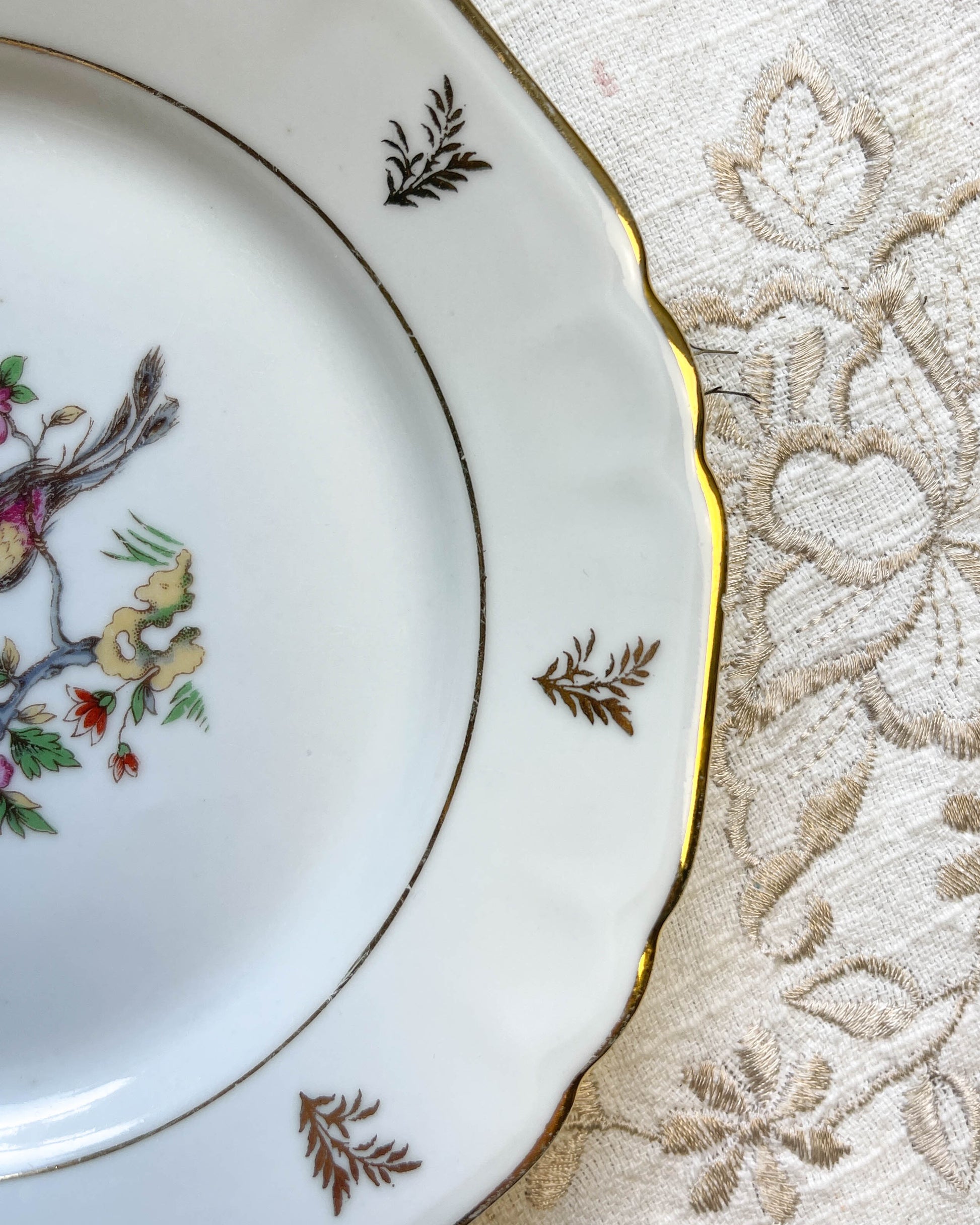 6 Petites assiettes en porcelaine de Limoges Berry motif oiseau de paradis