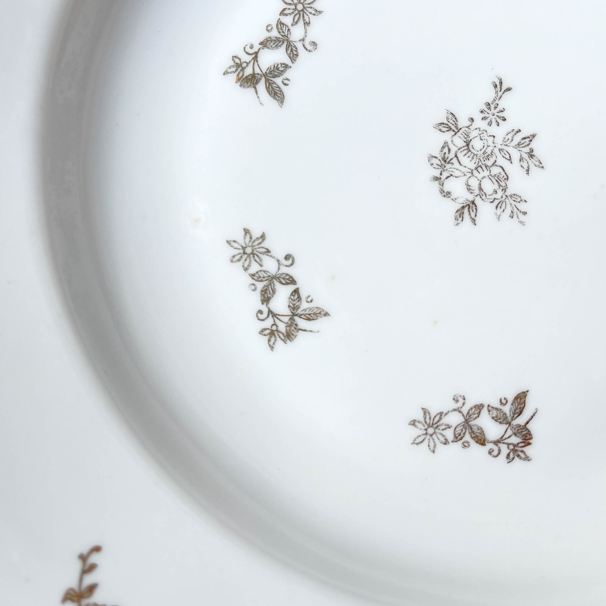 6 Assiettes creuses en porcelaine blanche dorée J&Ciem France 1950 motif fleuri 
