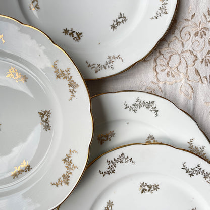 6 Assiettes plates en porcelaine blanches dorées J&Ciem France 1950 motif fleuri