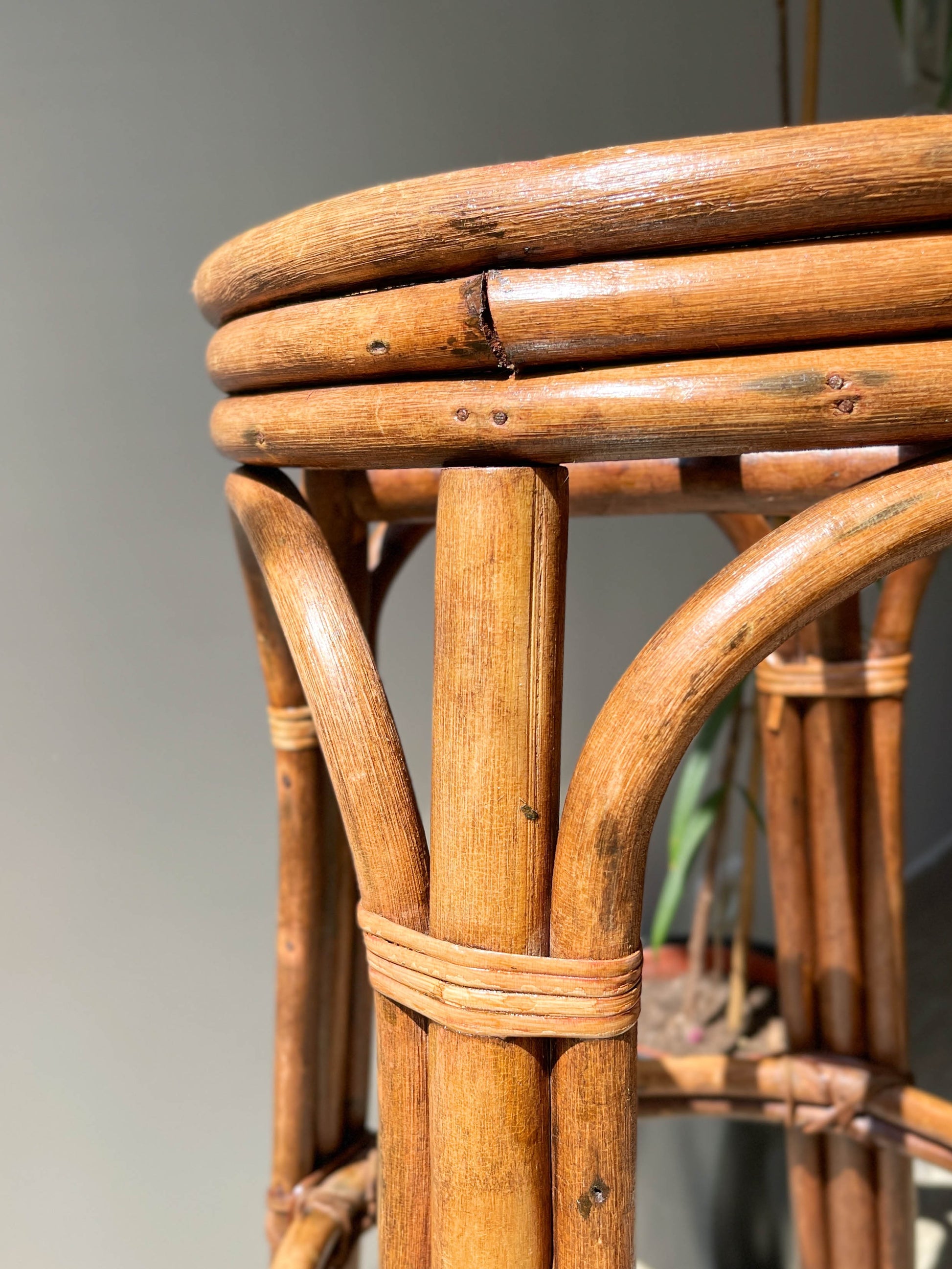 Tabouret de bar vintage en bois courbé, 1950