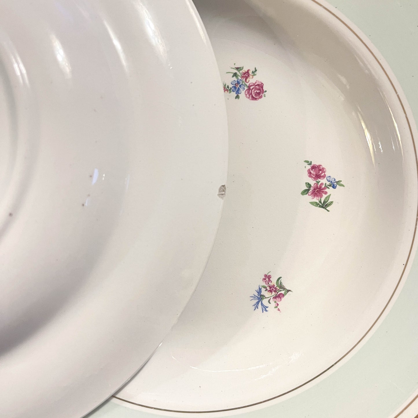 5 Assiettes creuses vintage porcelaine blanche verte fleurie SALINS 66 de 1950s