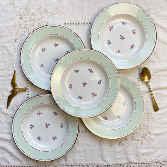 5 Assiettes creuses vintage porcelaine blanche verte fleurie SALINS 66 de 1950s